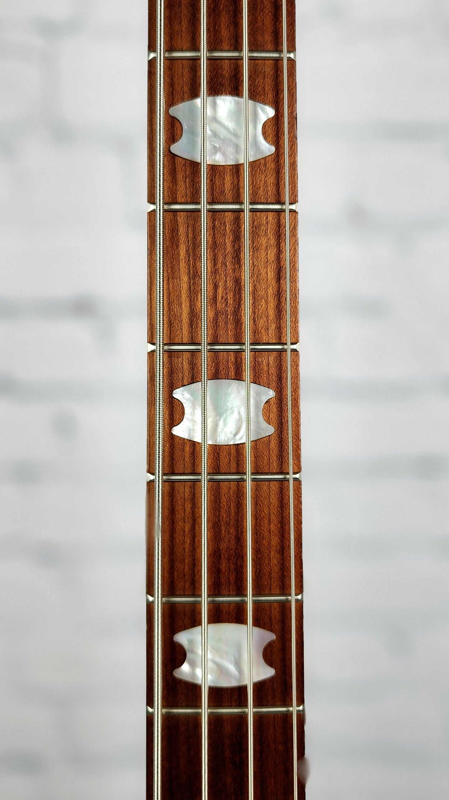 Spector Euro 4 RST TRQ 4 String Bass Turquoise Tide Matte Roasted Maple