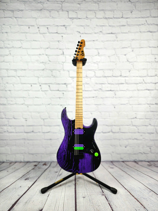 USED ESP LTD SN-1000 6 String Electric Guitar Purple Blast