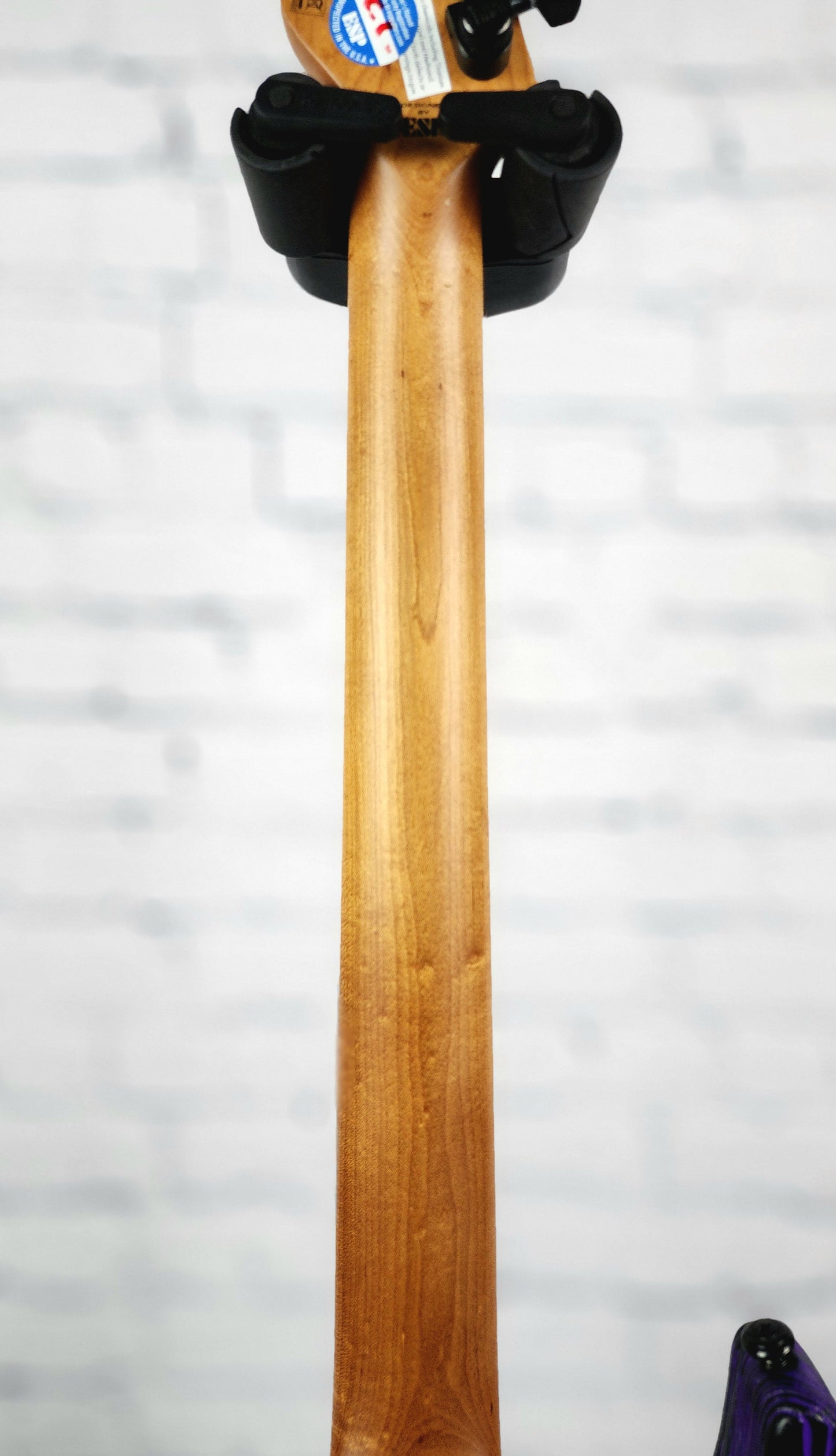 USED ESP LTD SN-1000 6 String Electric Guitar Purple Blast