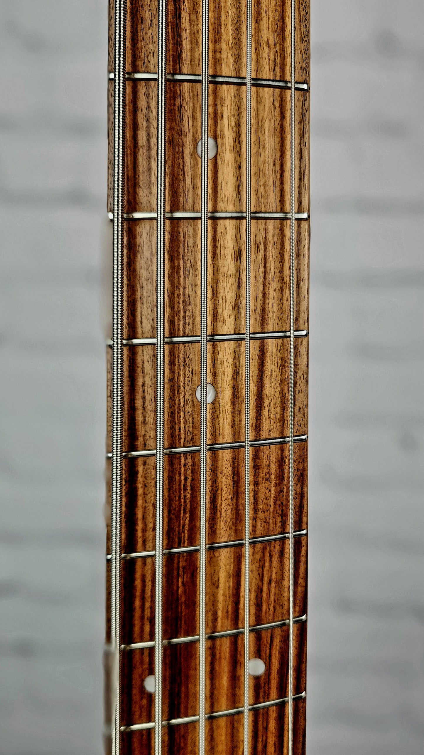 Dingwall D-Roc Standard 5 String Bass Guitar Matte Blue To Purple Color Shift