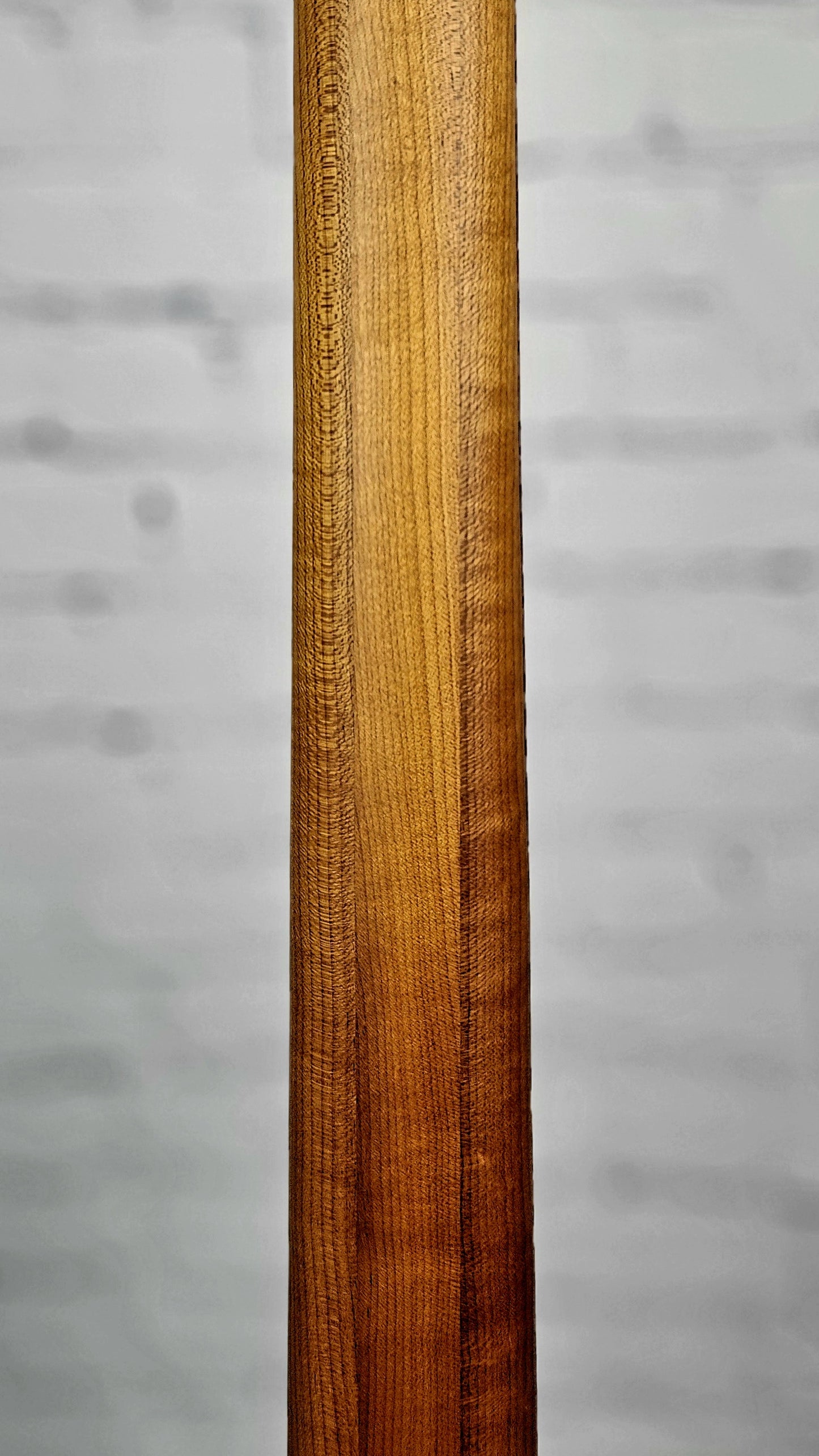 Spector NS Pulse 5 String Bass Cinder Red