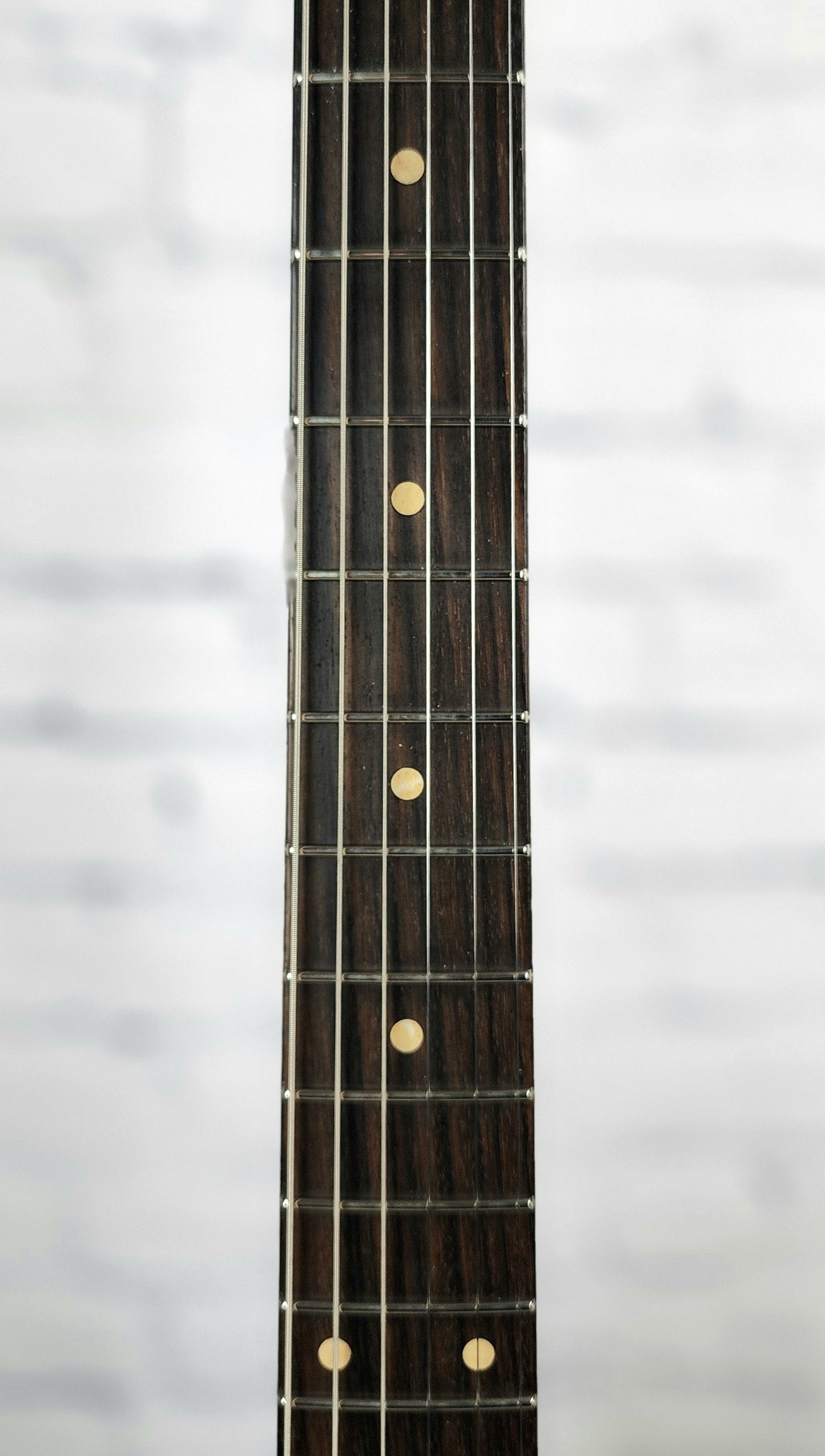 USED Fano Guitars TC6 Oltre 6 String Electric Guitar Bull Black Lollar Goldfoil