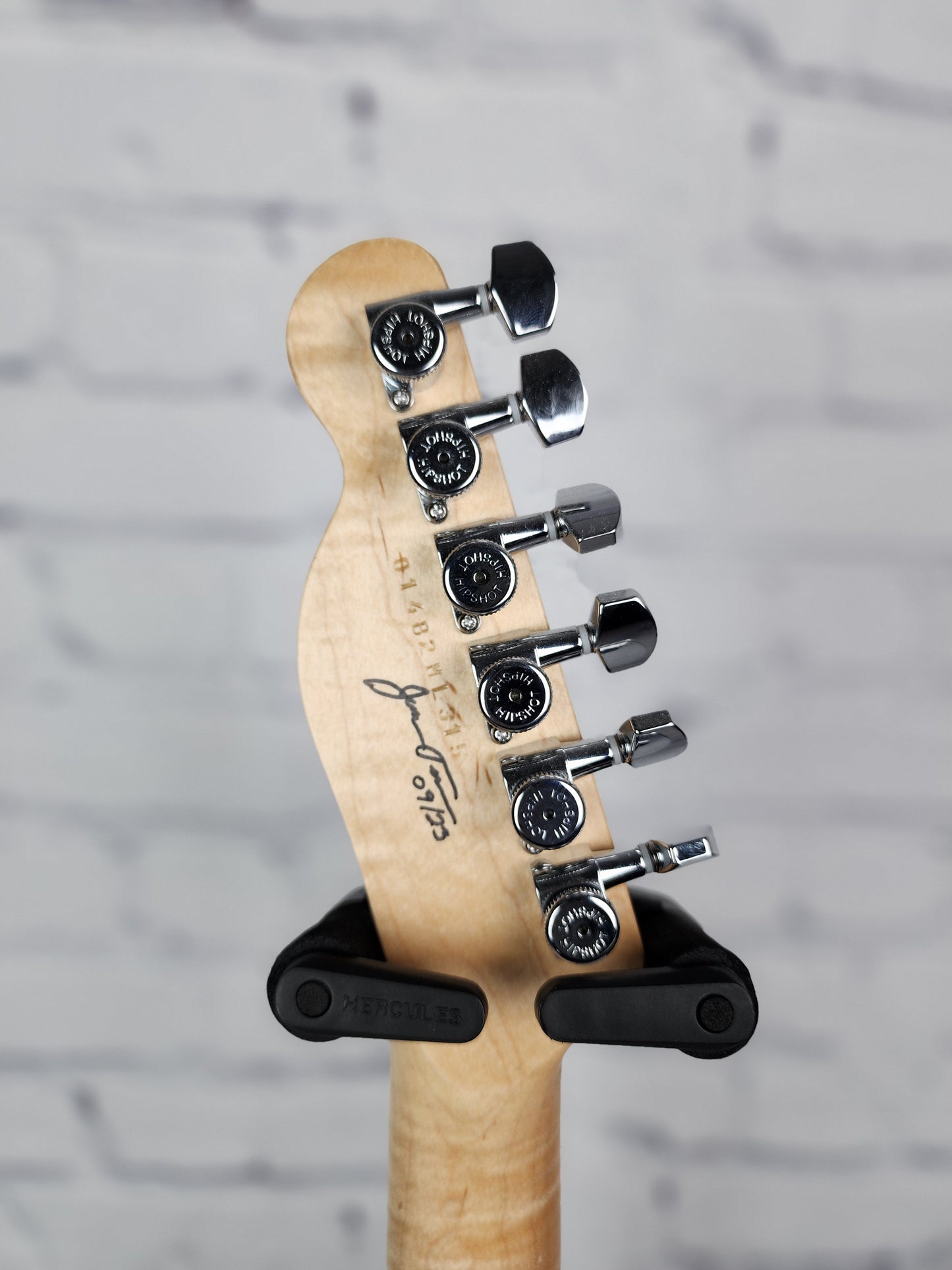 Teran Guitars T-S2-OP 6 String Electric Guitar Weathered Snowfall