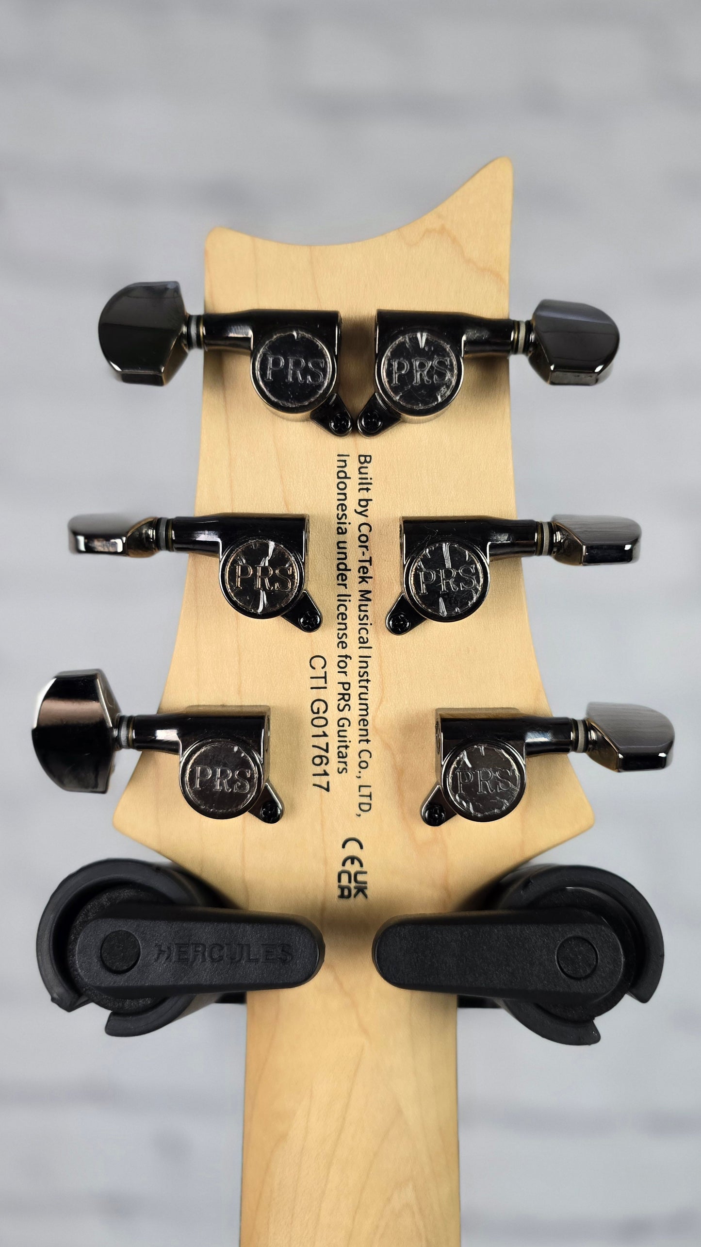 Paul Reed Smith PRS SE CE24 Sandblasted Electric Guitar Limited Edition Green