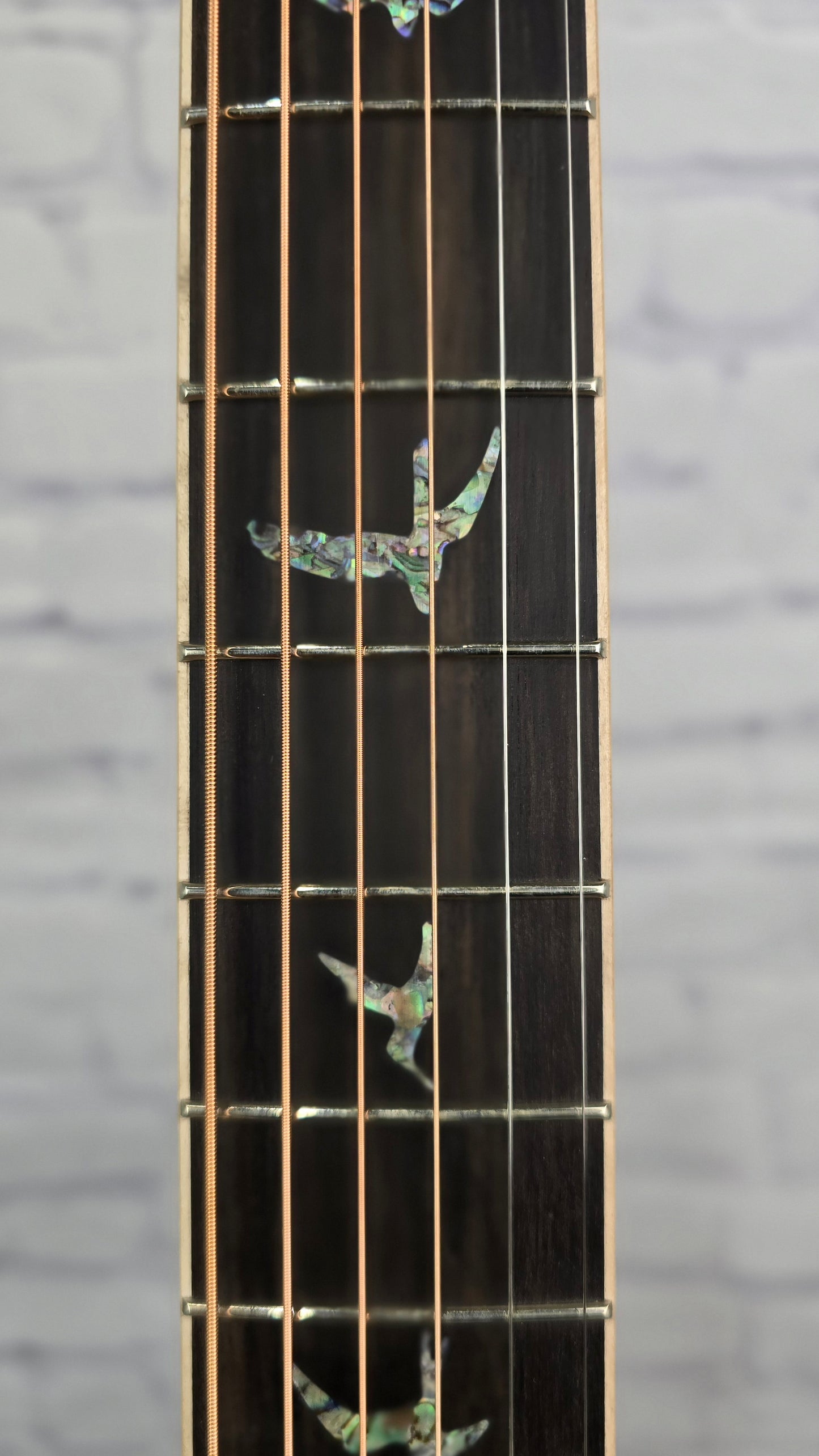 Paul Reed Smith PRS SE Tonare T60E Acoustic Guitar w/Fishman Pickup Spruce + Ziricote