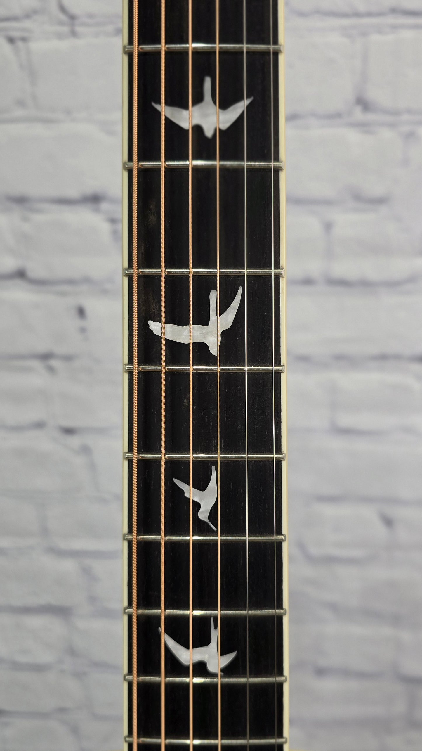 Paul Reed Smith PRS P20E Parlor Acoustic Electric Guitar Dog Hair