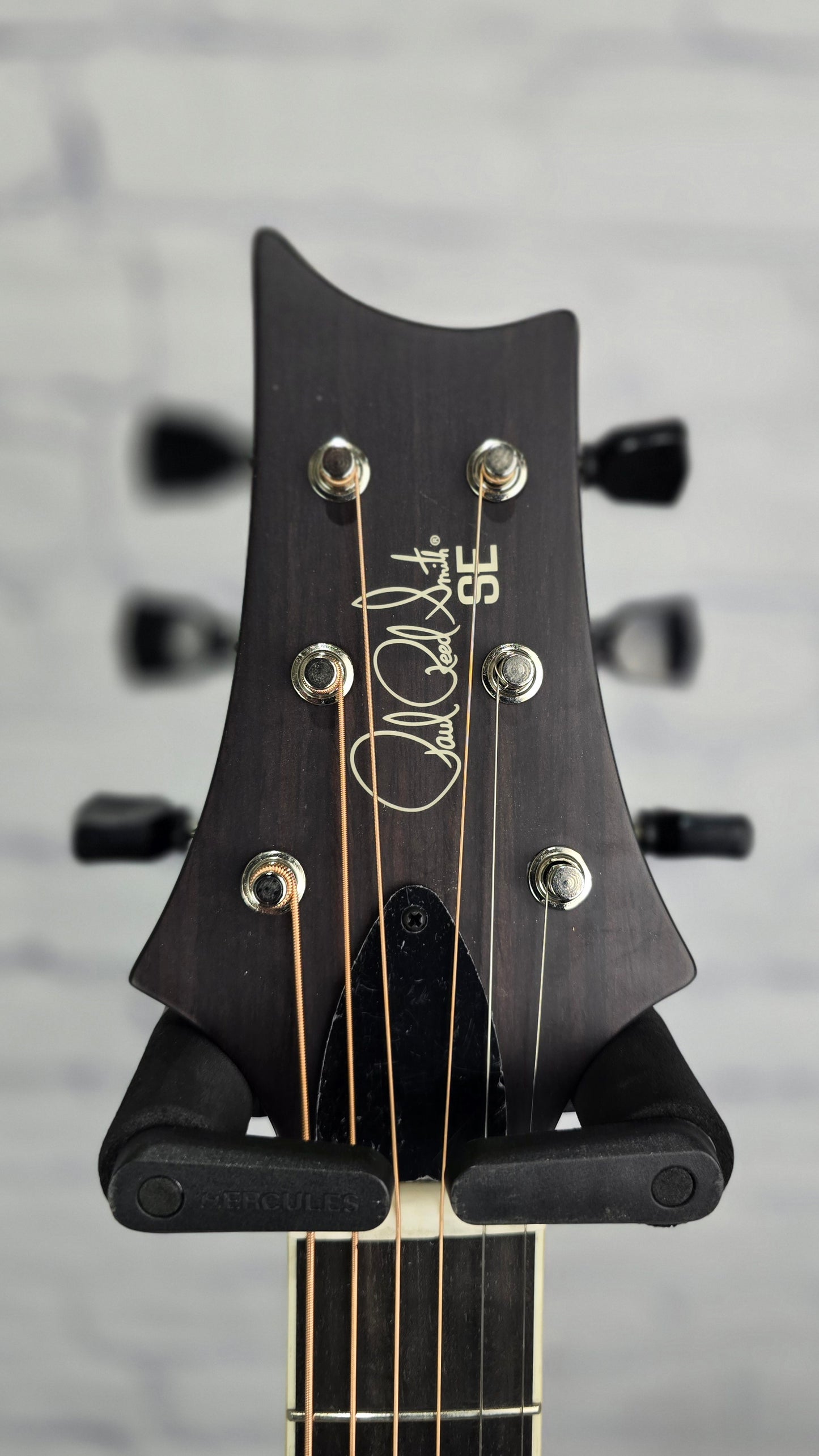 Paul Reed Smith PRS P20E Parlor Acoustic Electric Guitar Dog Hair