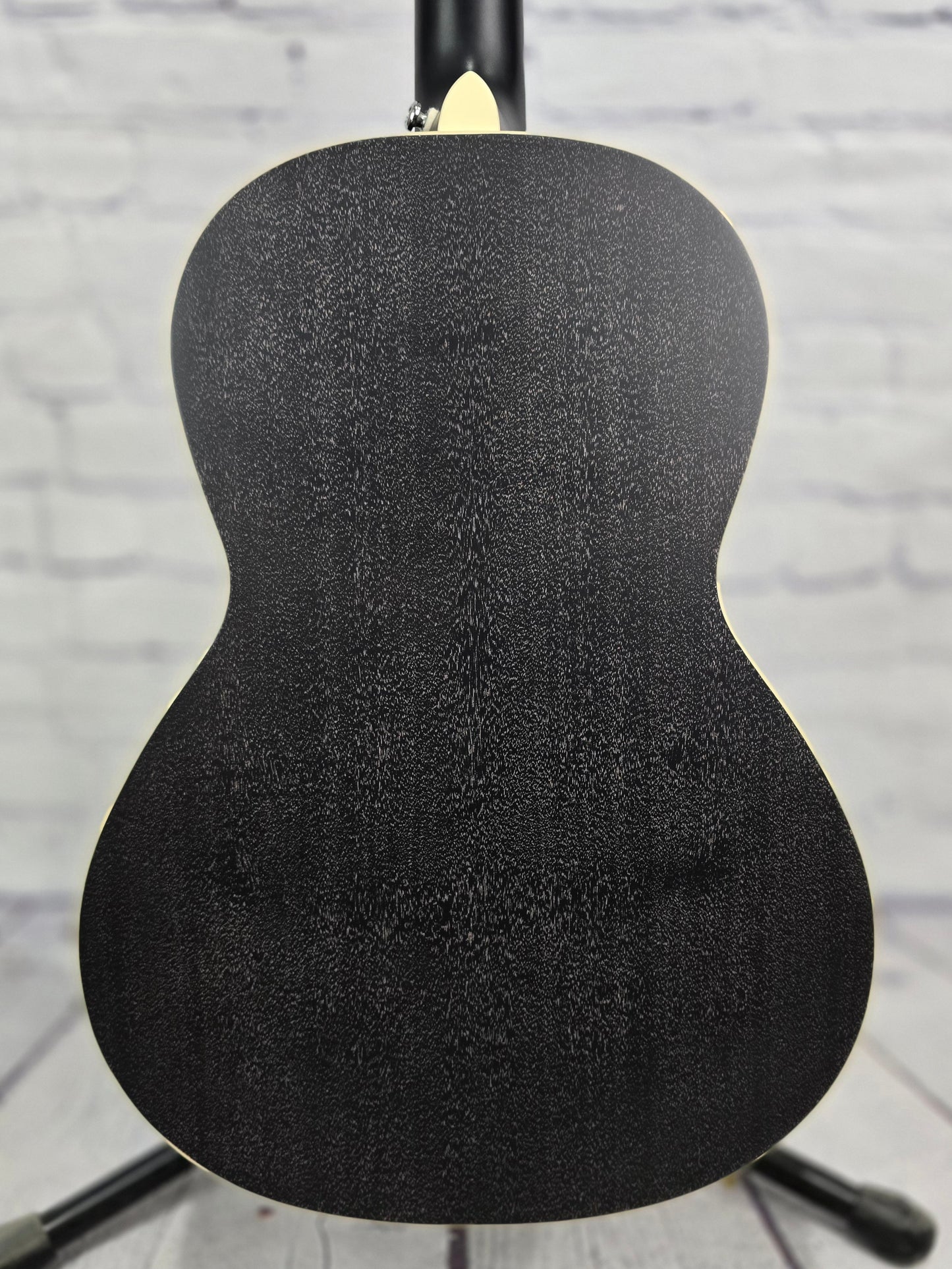 Paul Reed Smith PRS P20E Parlor Acoustic Electric Guitar Dog Hair