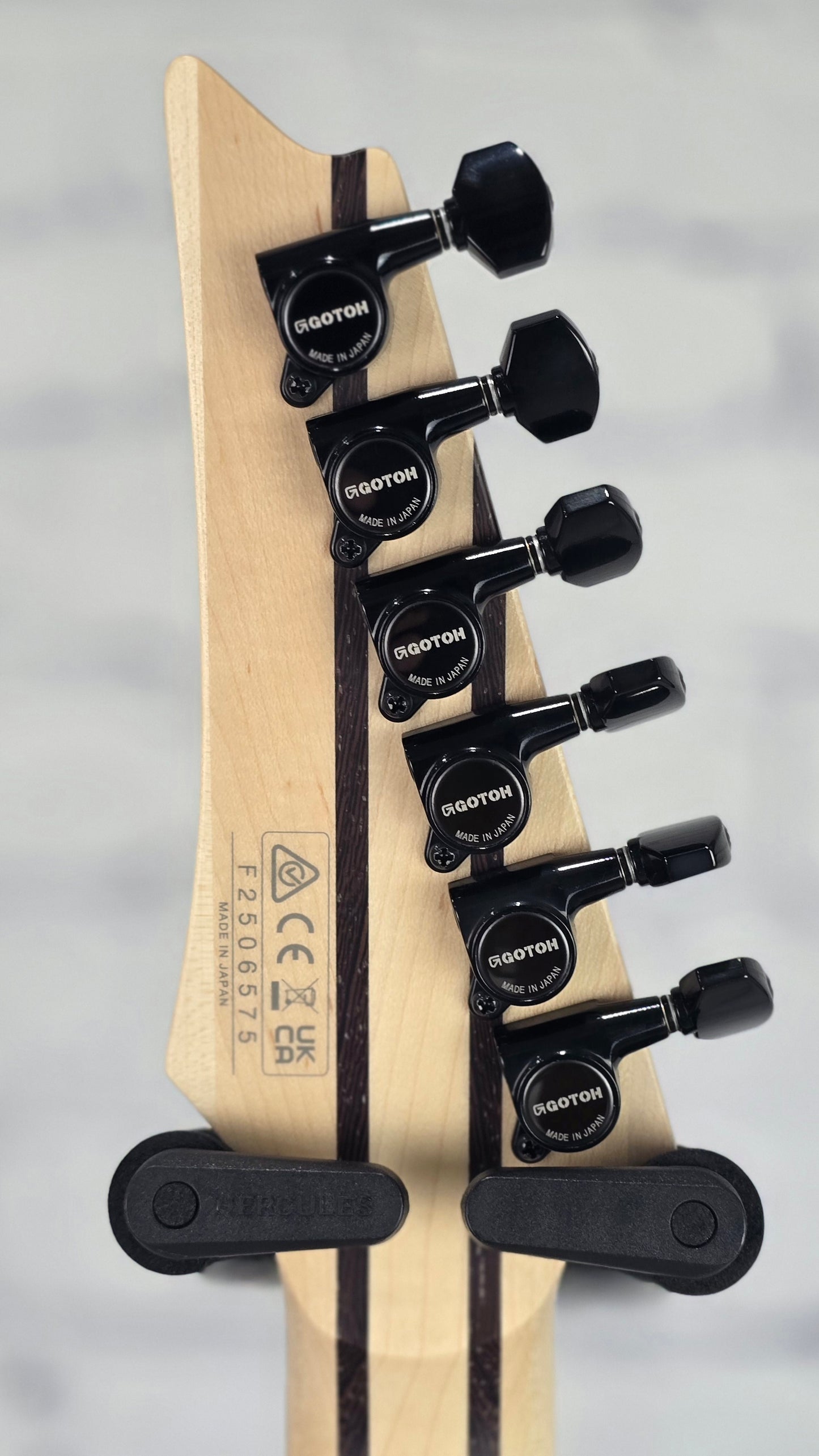 Ibanez RG5121ET PRT 6 String Evertune Electric Guitar Polar Lights
