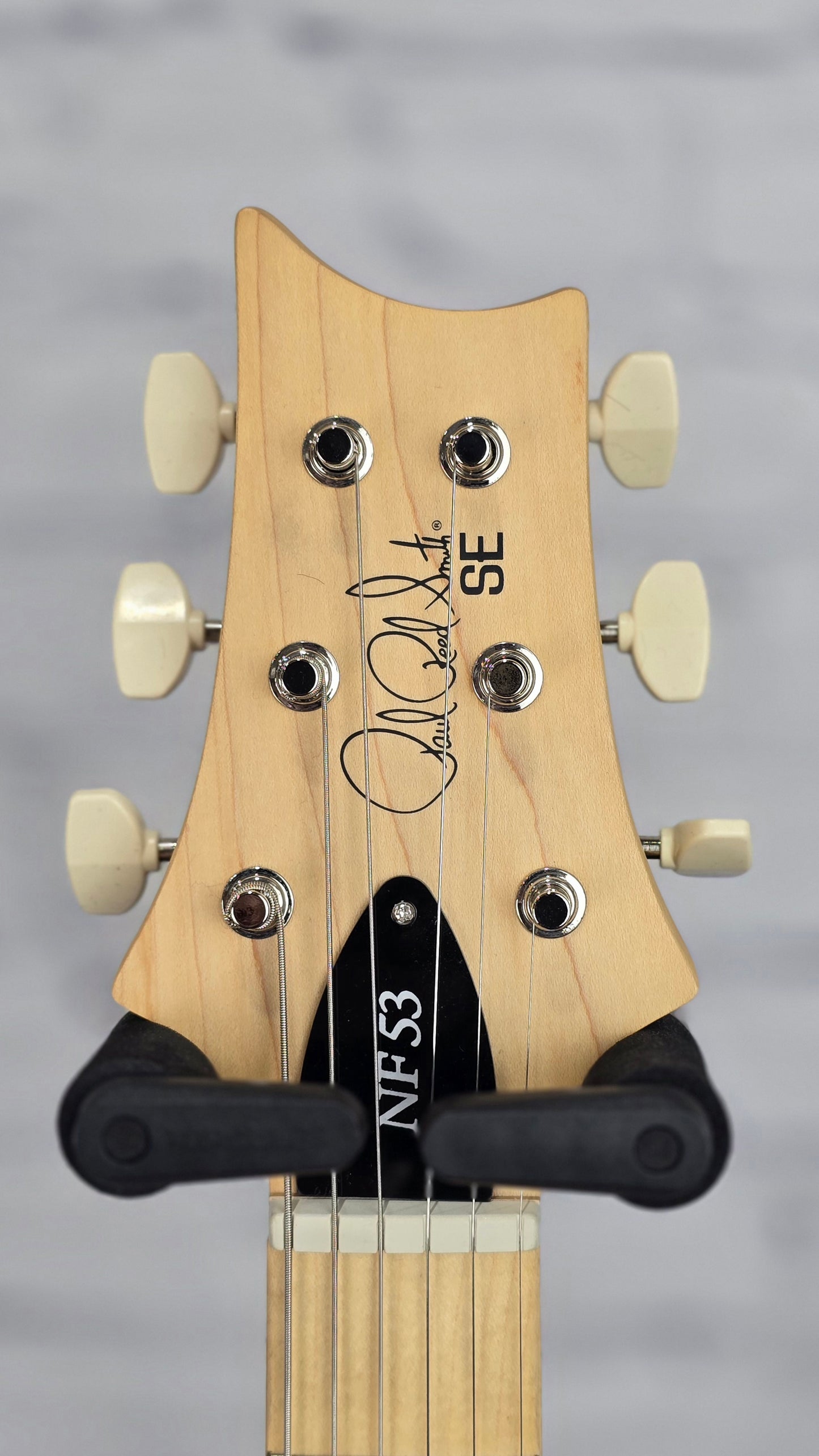 Paul Reed Smith PRS Guitars SE NF53 6 String Electric Guitar White Dog Hair