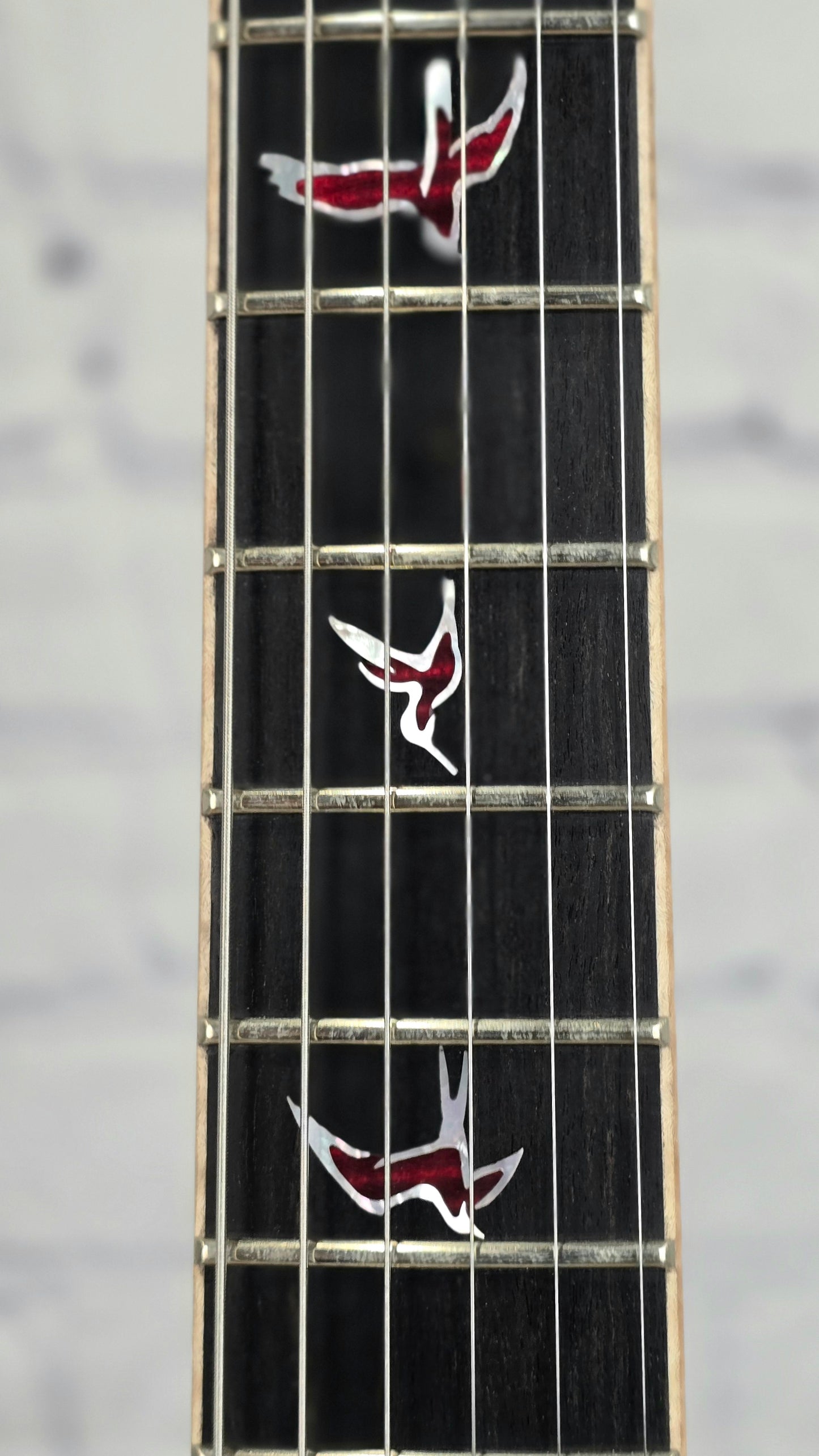 Paul Reed Smith PRS Guitars Private Stock #11409 Modern Eagle V 6 String Electric Guitar Blood Red Reverse Dragon's Breath