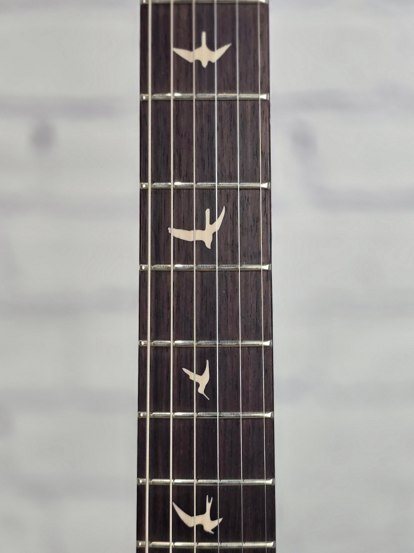 Paul Reed Smith PRS Guitars SE Silver Sky RW John Mayer Electric Guitar Dandy Lion