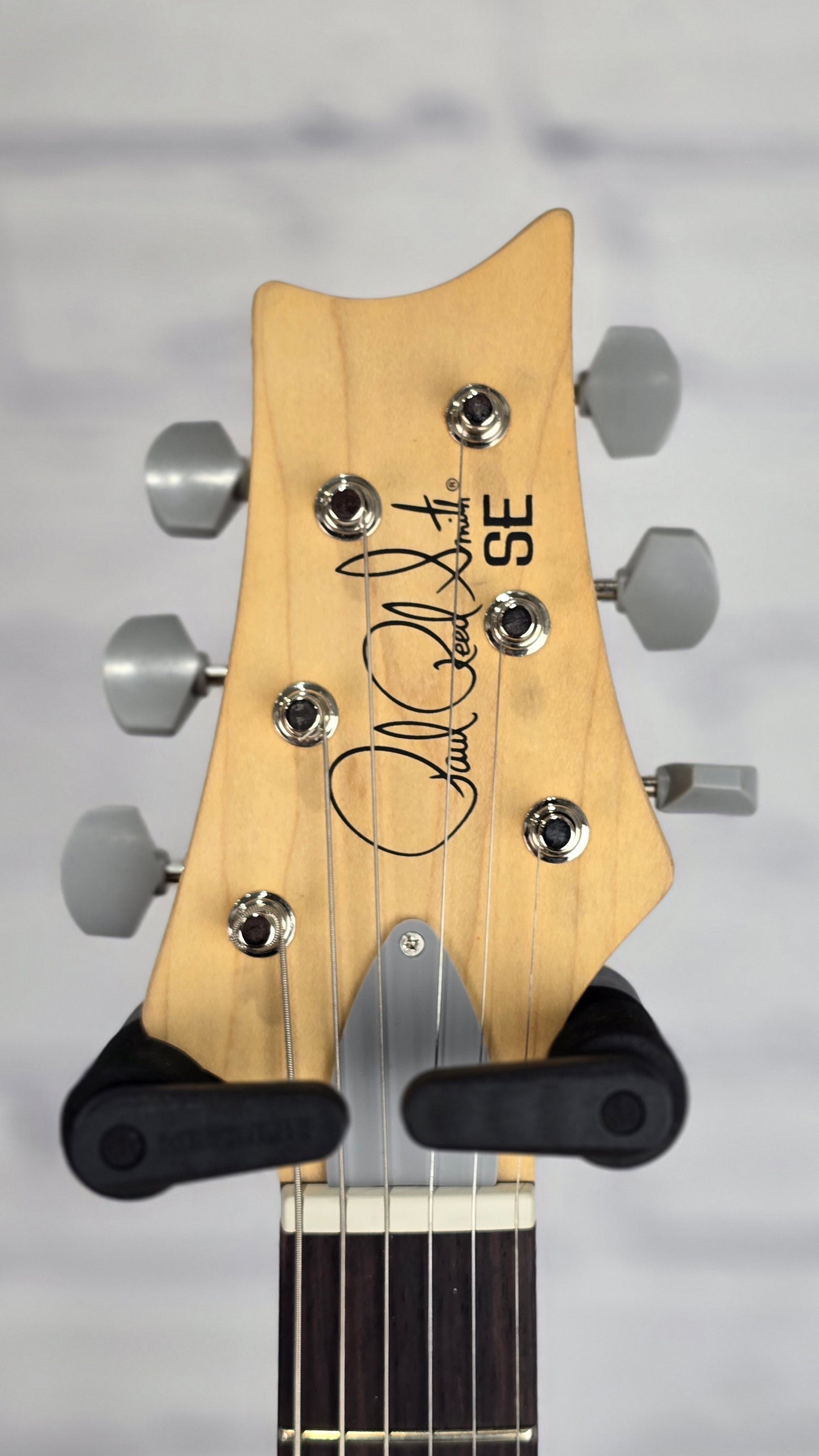 Paul Reed Smith PRS Guitars SE Silver Sky RW John Mayer Electric Guitar Dandy Lion