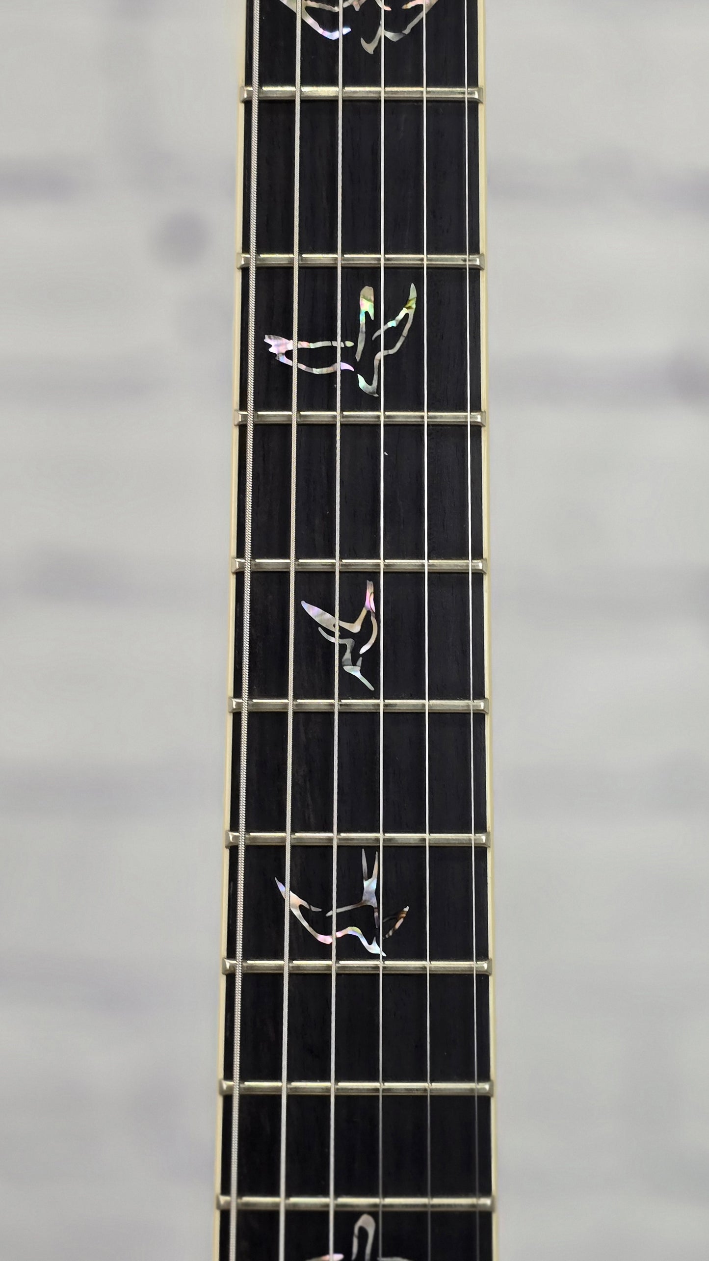Paul Reed Smith PRS Guitars Mark Holcomb Custom 24 Core 6 String Electric Guitar Purple Mist Wraparound Burst