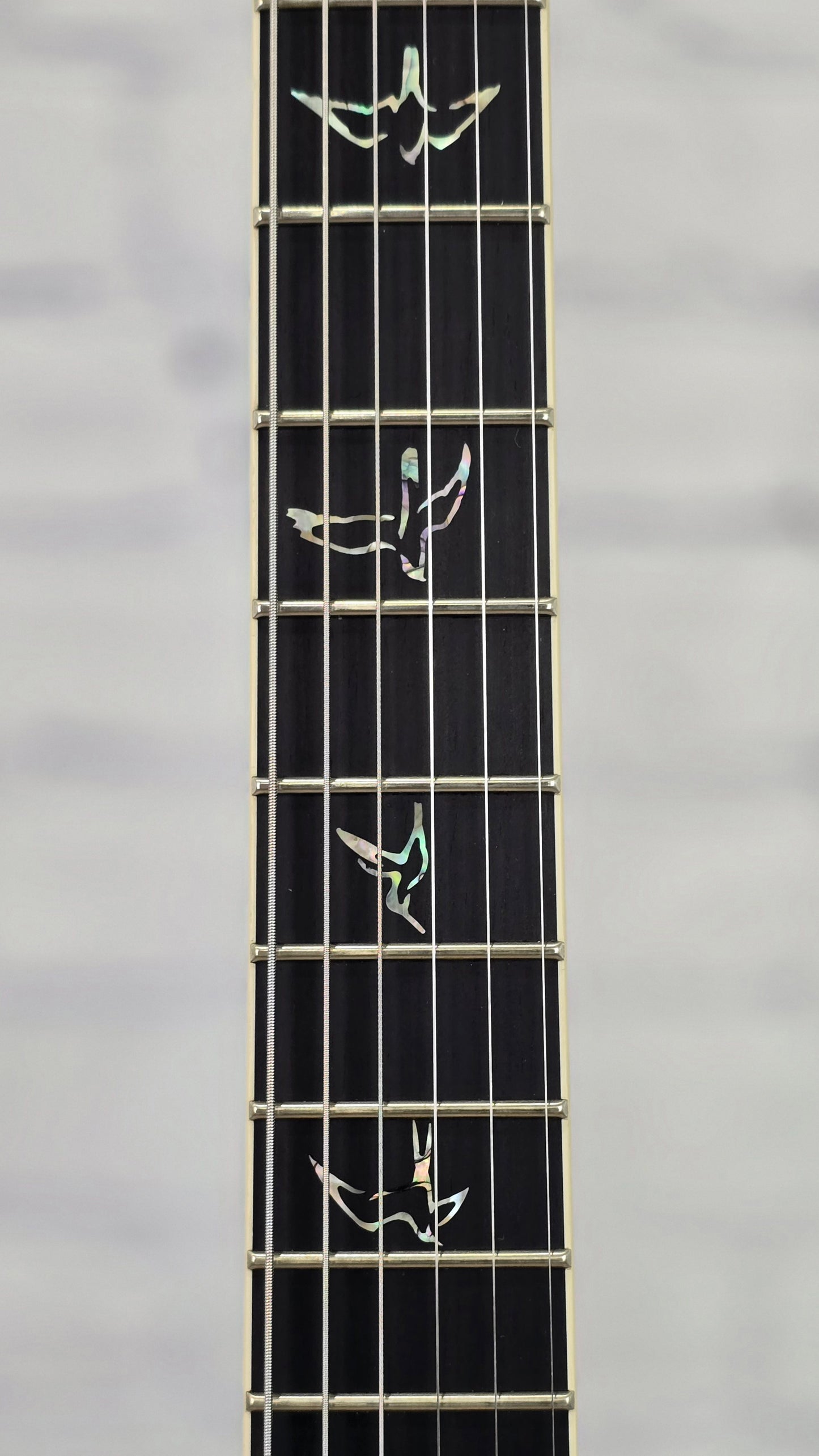 Paul Reed Smith PRS Guitars Mark Holcomb Custom 24 Core 6 String Electric Guitar Holcomb Blue Wraparound Burst