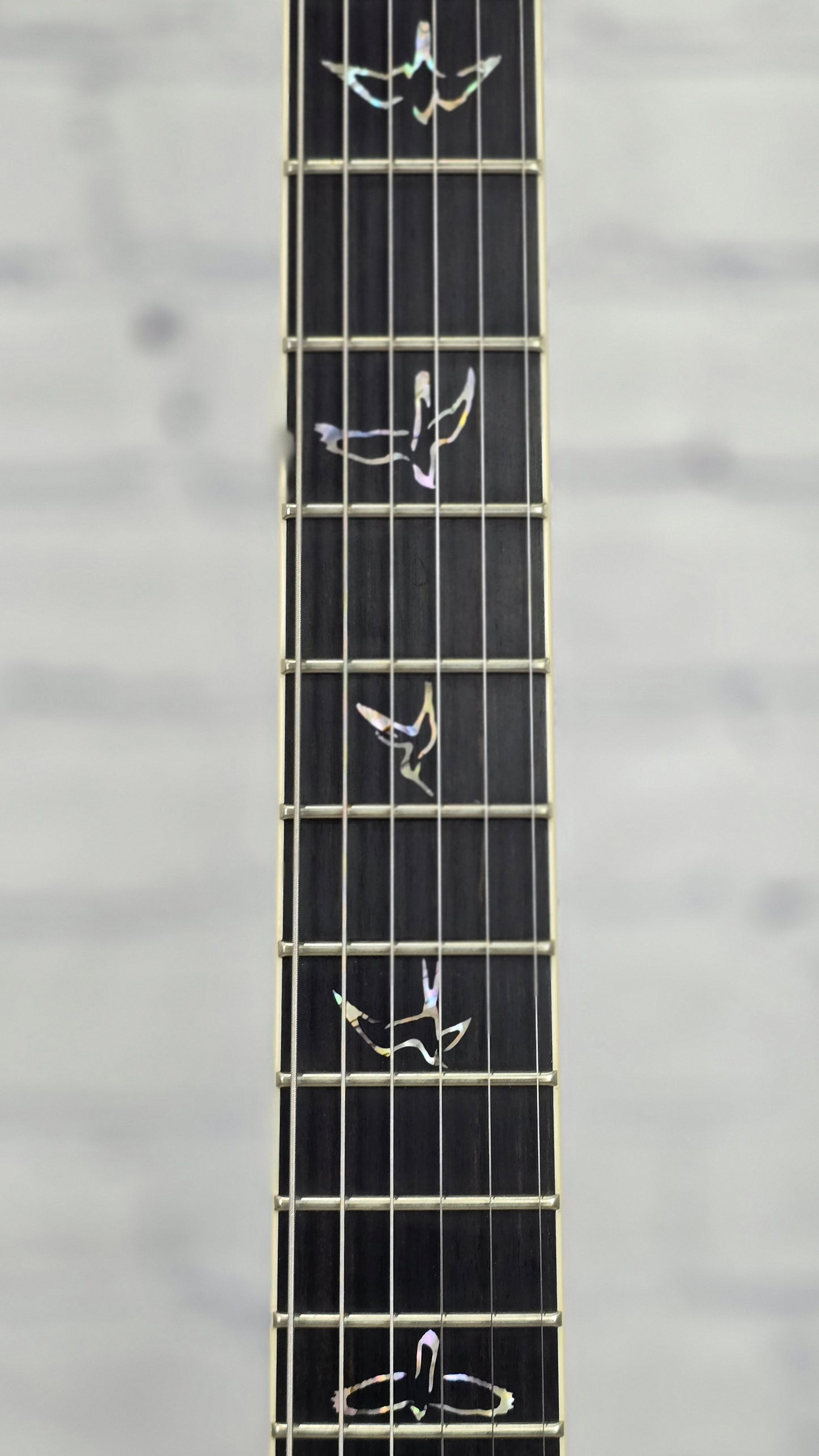 Paul Reed Smith PRS Guitars Mark Holcomb Custom 24 Core 6 String Electric Guitar Charcoal Wraparound Burst