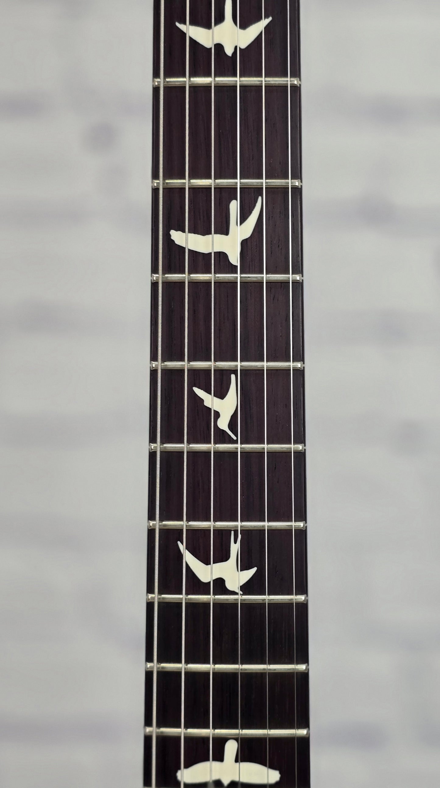 Paul Reed Smith PRS S2 Special Semi-Hollow Reclaimed Limited Edition 6 String Electric Guitar Natural