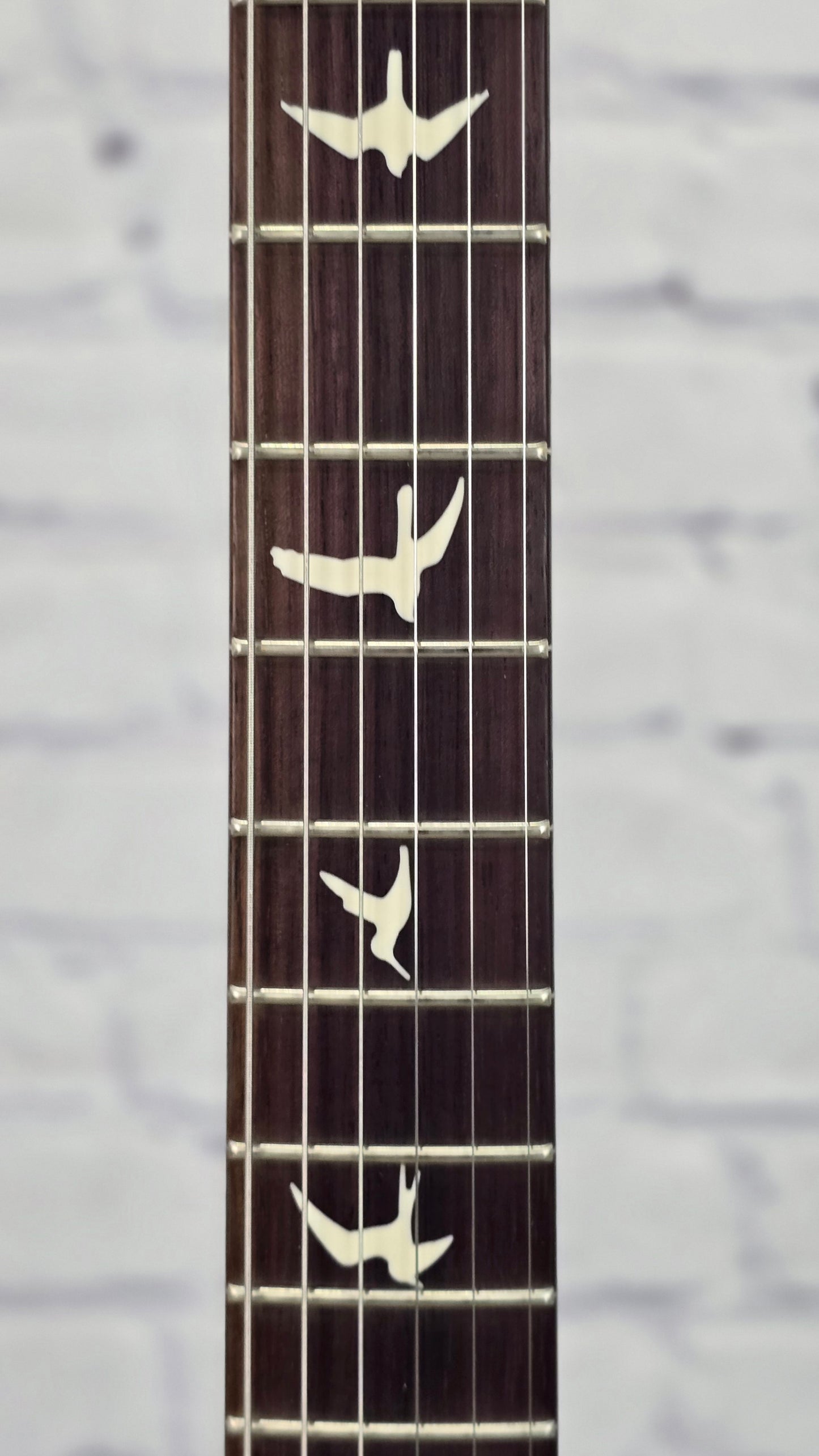 Paul Reed Smith PRS S2 Special Semi-Hollow Reclaimed Limited Edition 6 String Electric Guitar Natural