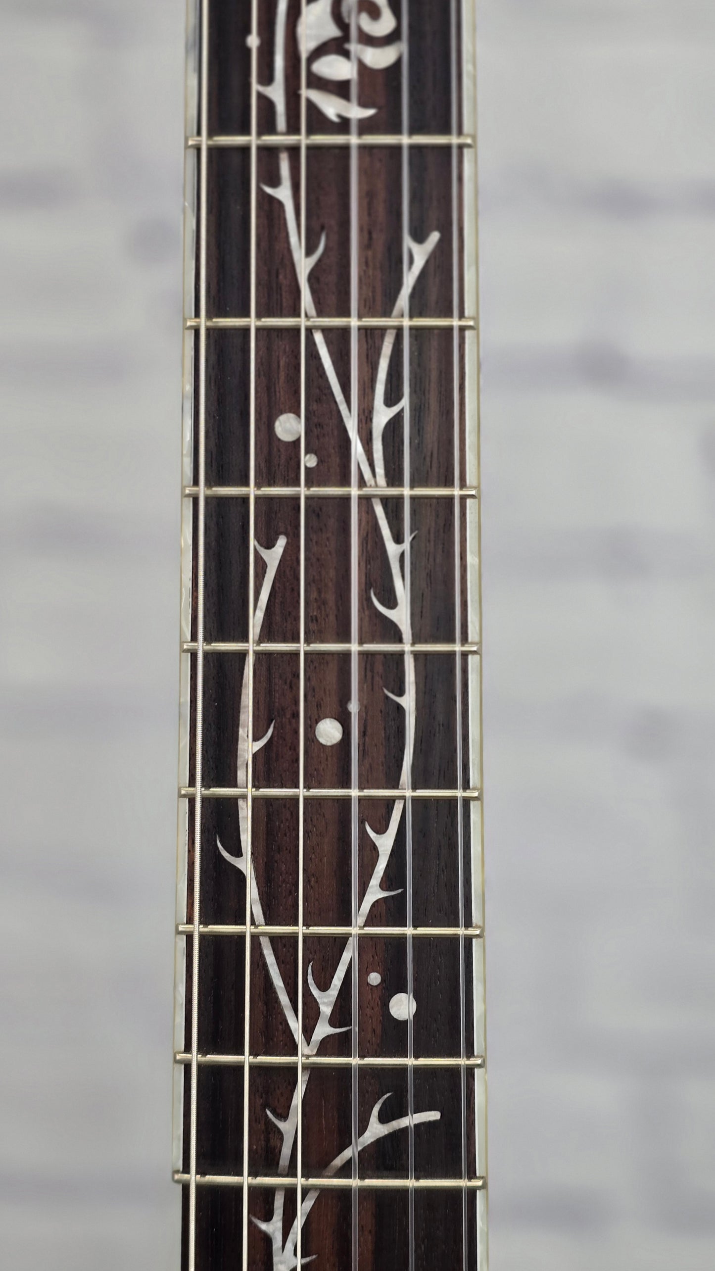 Ibanez TOD10N TKF Tim Henson Nylon String Acoustic Guitar Transparent Flat Black