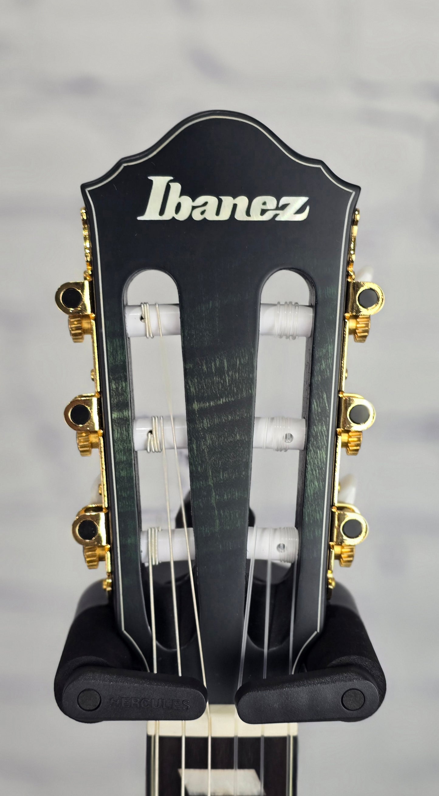 Ibanez FRH20FMN DGL 6 String Classical Electric Acoustic Guitar Dark Emerald Low Gloss