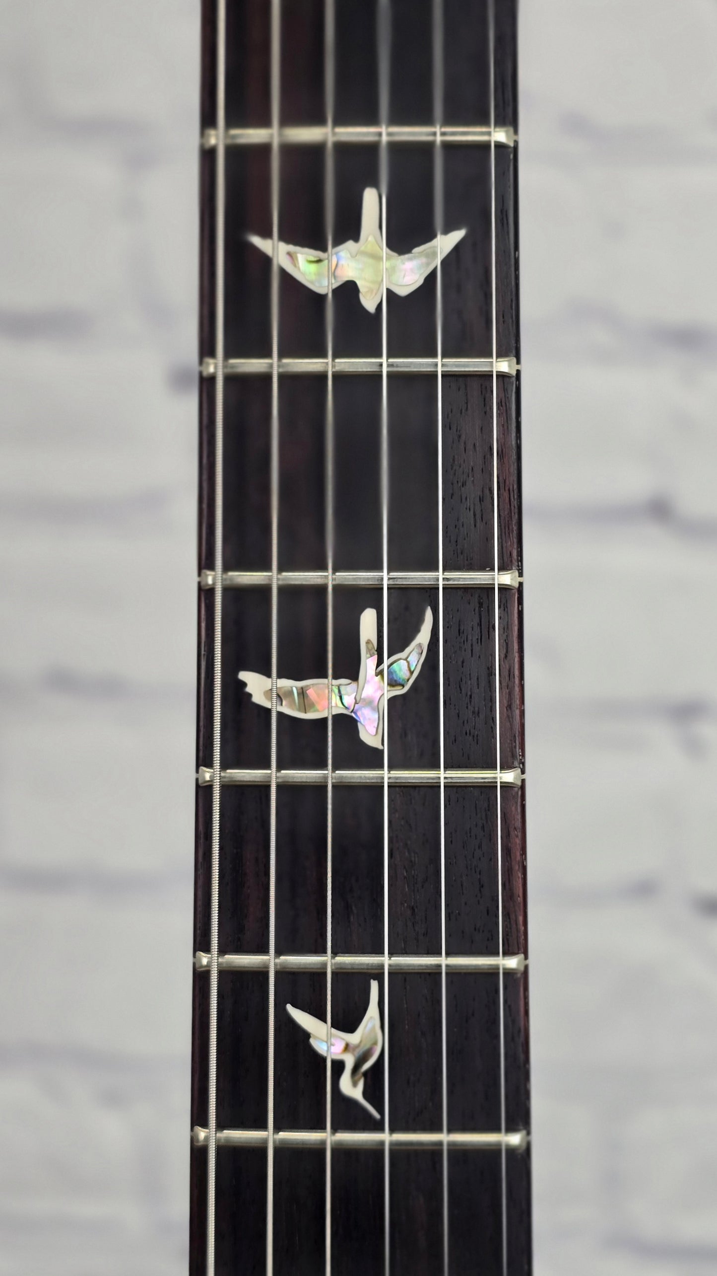 Paul Reed Smith PRS Guitars Modern Eagle V 10 Top 6 String Electric Guitar Aurora Borealis