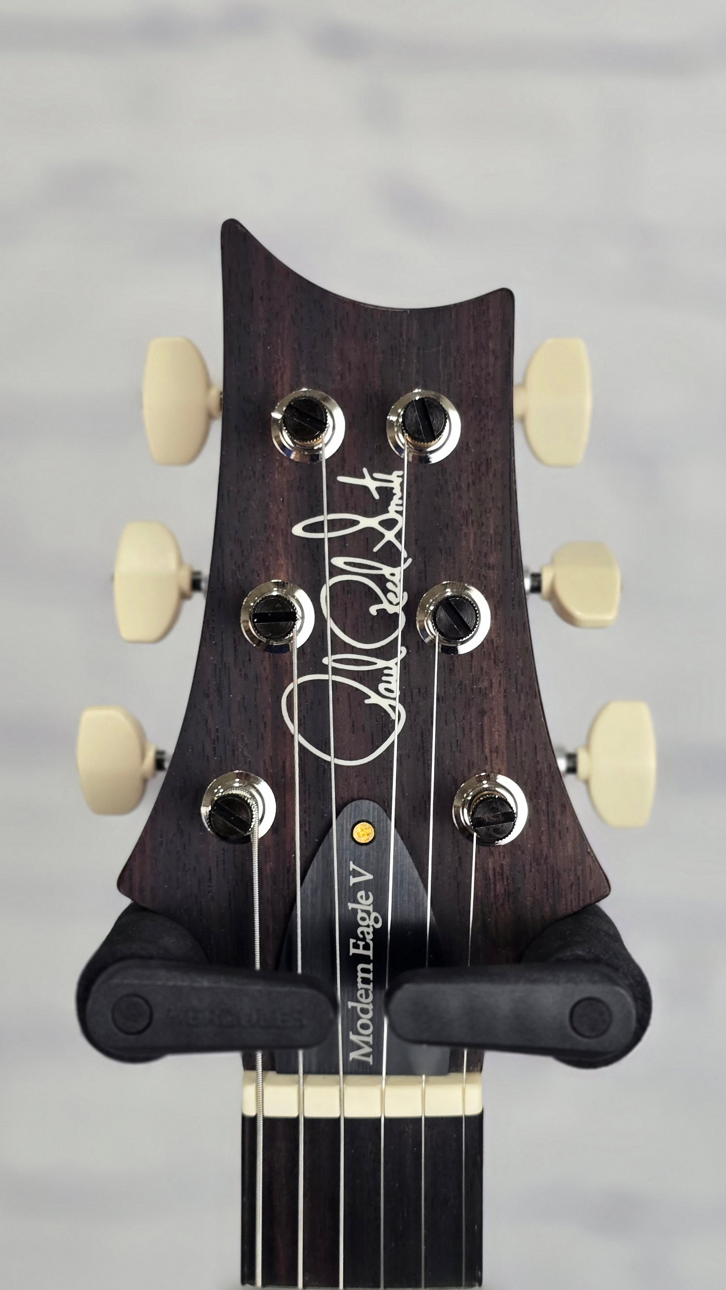 Paul Reed Smith PRS Guitars Modern Eagle V 10 Top 6 String Electric Guitar Aurora Borealis