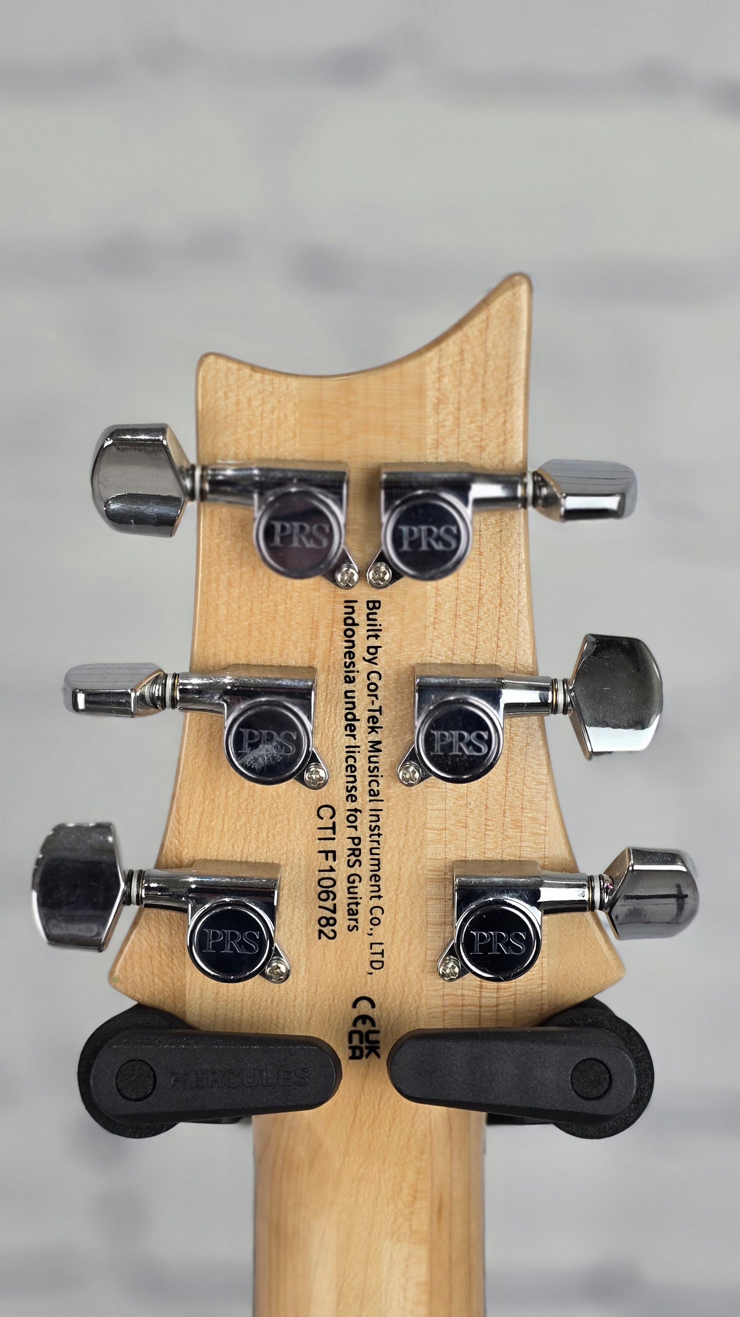 Paul Reed Smith PRS Guitars SE Custom 24 Limited 6 String Electric Guitar Blue Fade