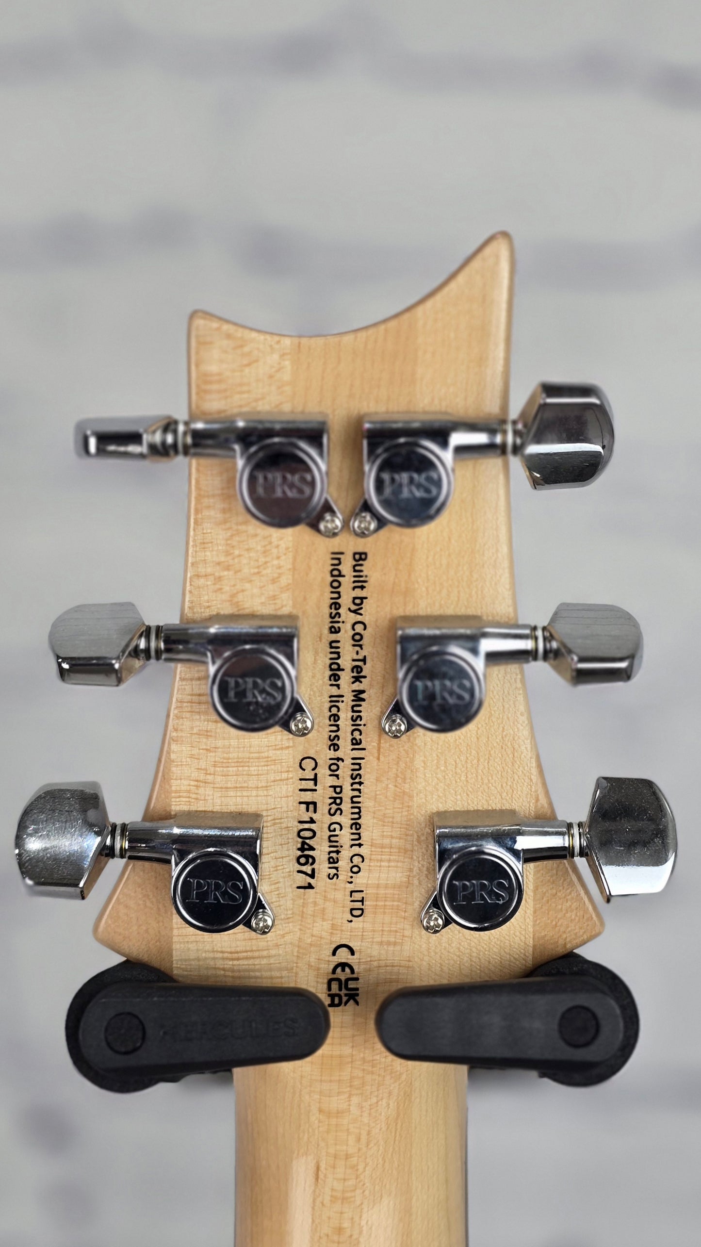 Paul Reed Smith PRS Guitars SE Custom 24 Limited 6 String Electric Guitar Blue Fade