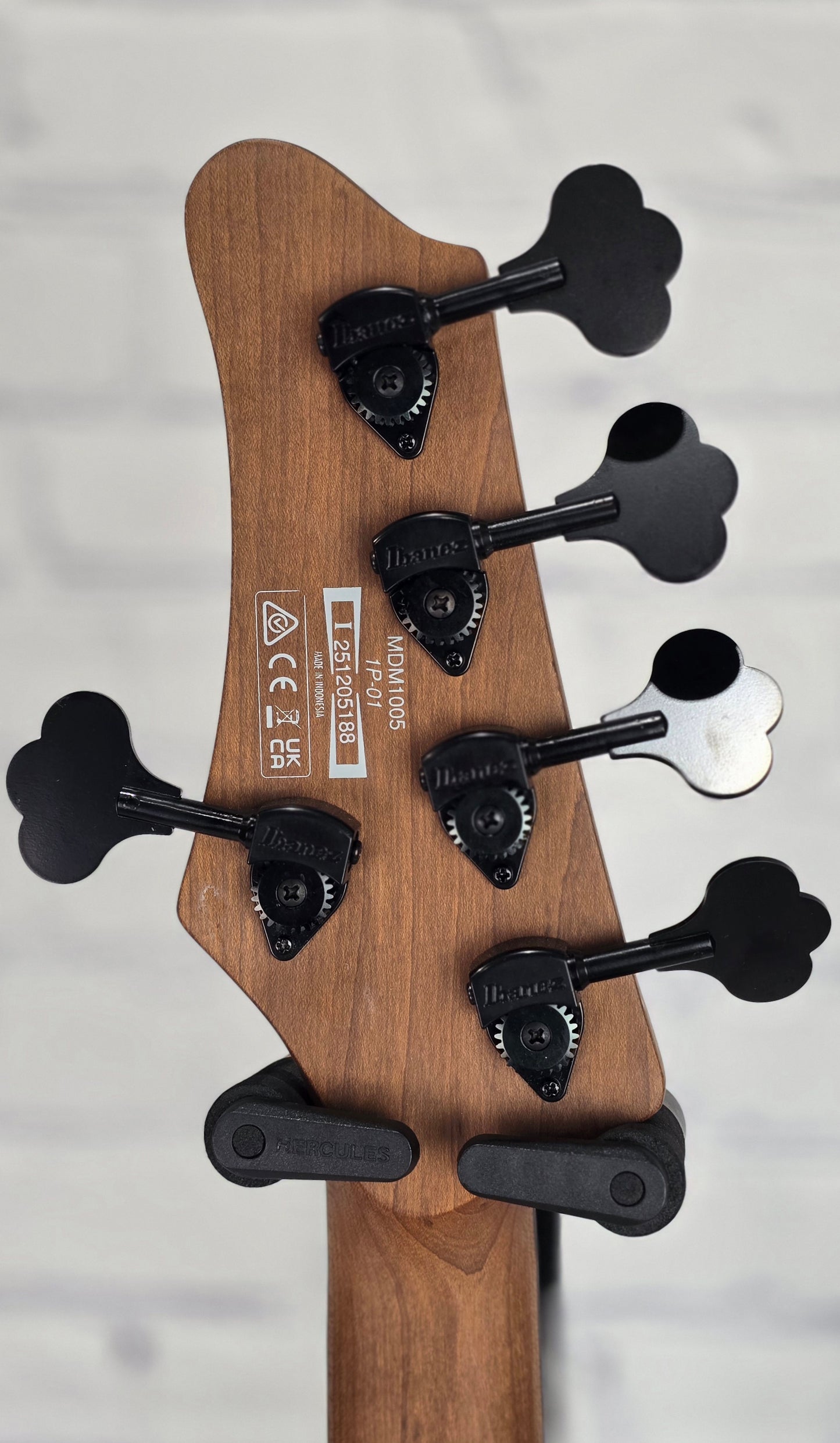 Ibanez Mode MDM1005 PW 5 String Bass Pearl White