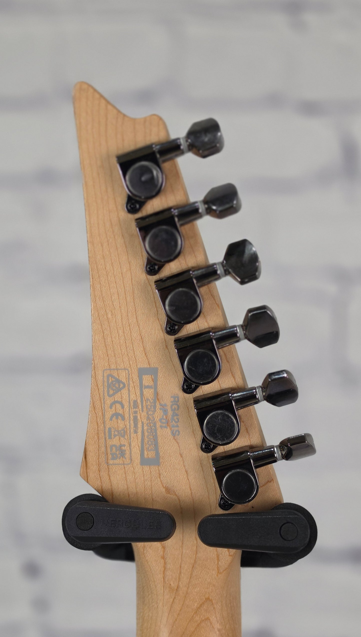 USED Ibanez RG Standard RG421 6 String Electric Guitar Sea Shore Matte