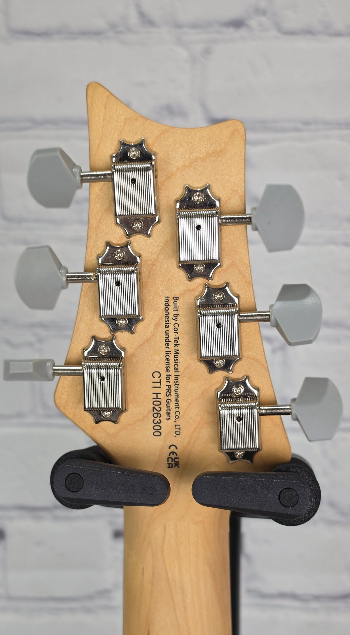 Paul Reed Smith PRS Guitars SE Silver Sky RW John Mayer Electric Guitar Laurel Green