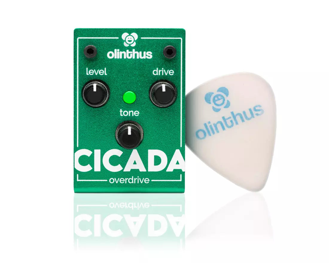Olinthus Design Cicada Overdrive Micro Pedal