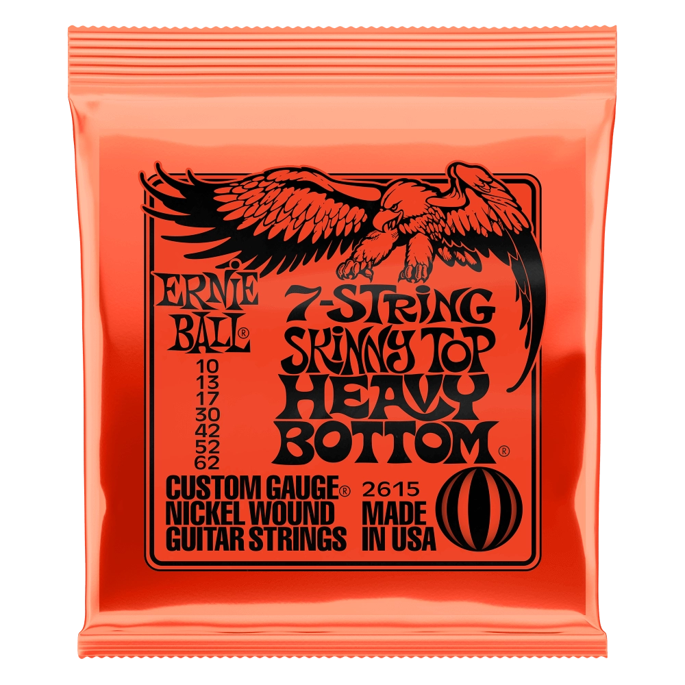 Ernie Ball Electric Guitar Strings Nickel Regular Wound