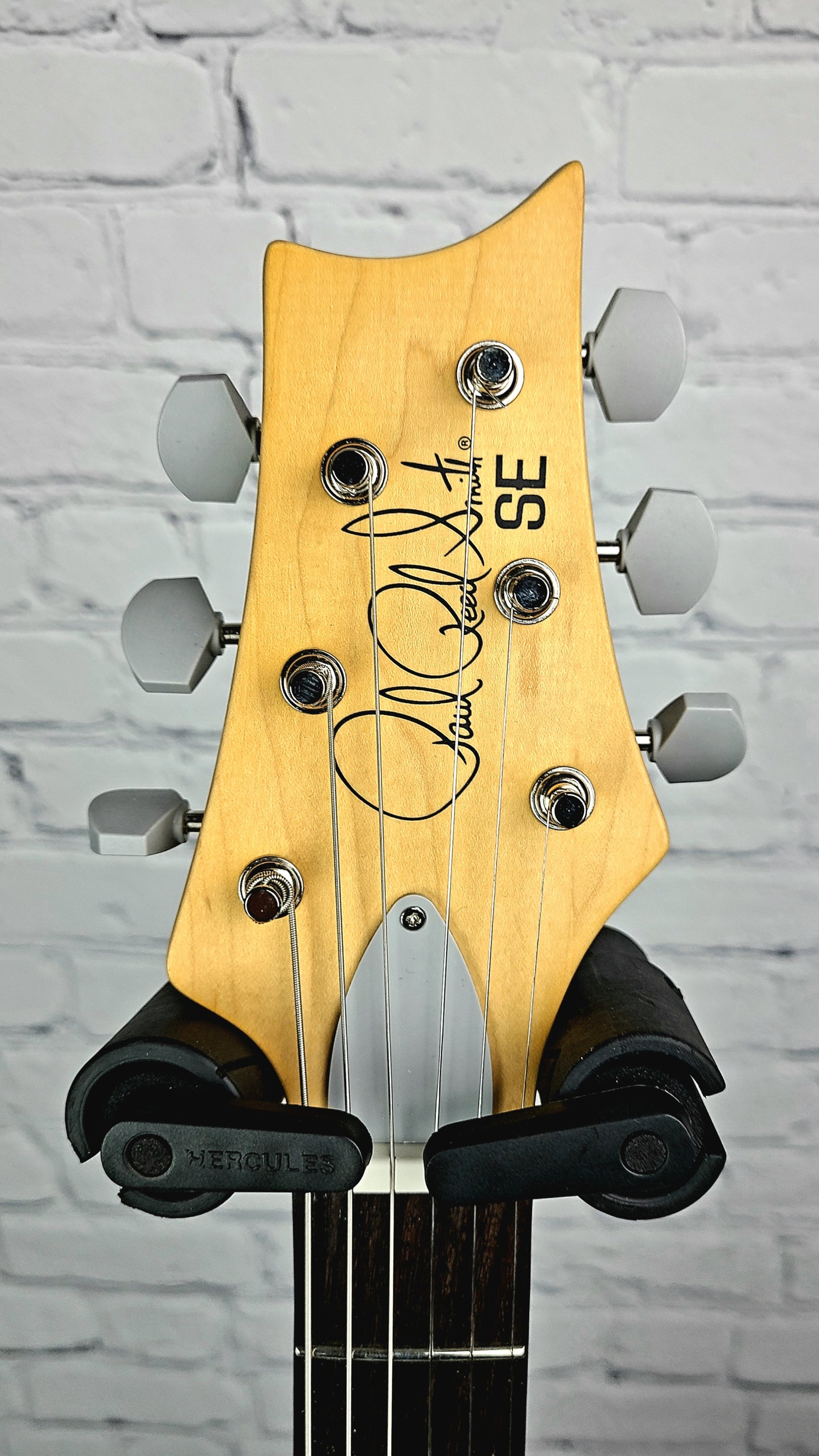 Paul Reed Smith PRS SE Silver Sky John Mayer Ever Green Electric Guitar
