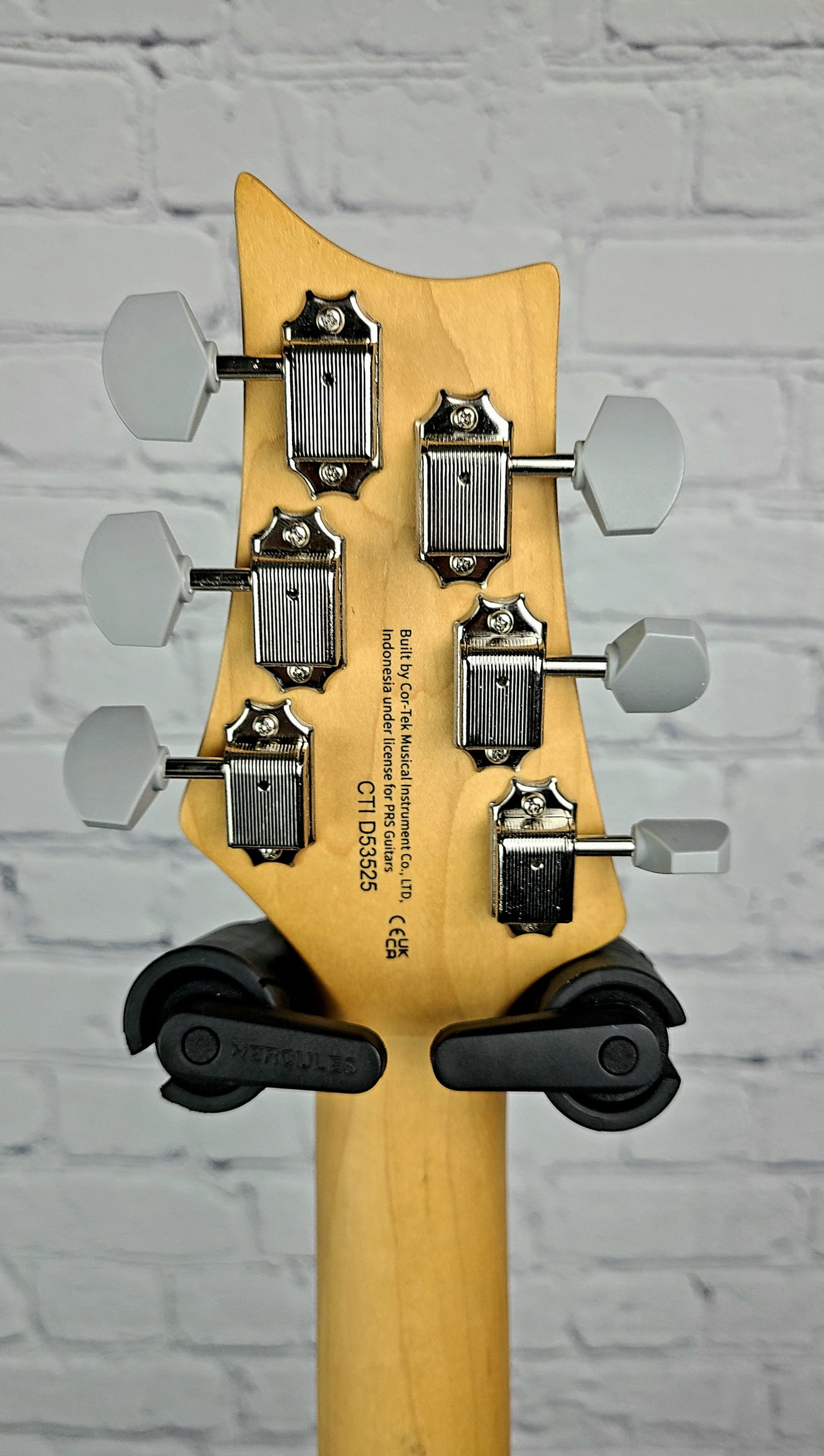 Paul Reed Smith PRS SE Silver Sky John Mayer Ever Green Electric Guitar