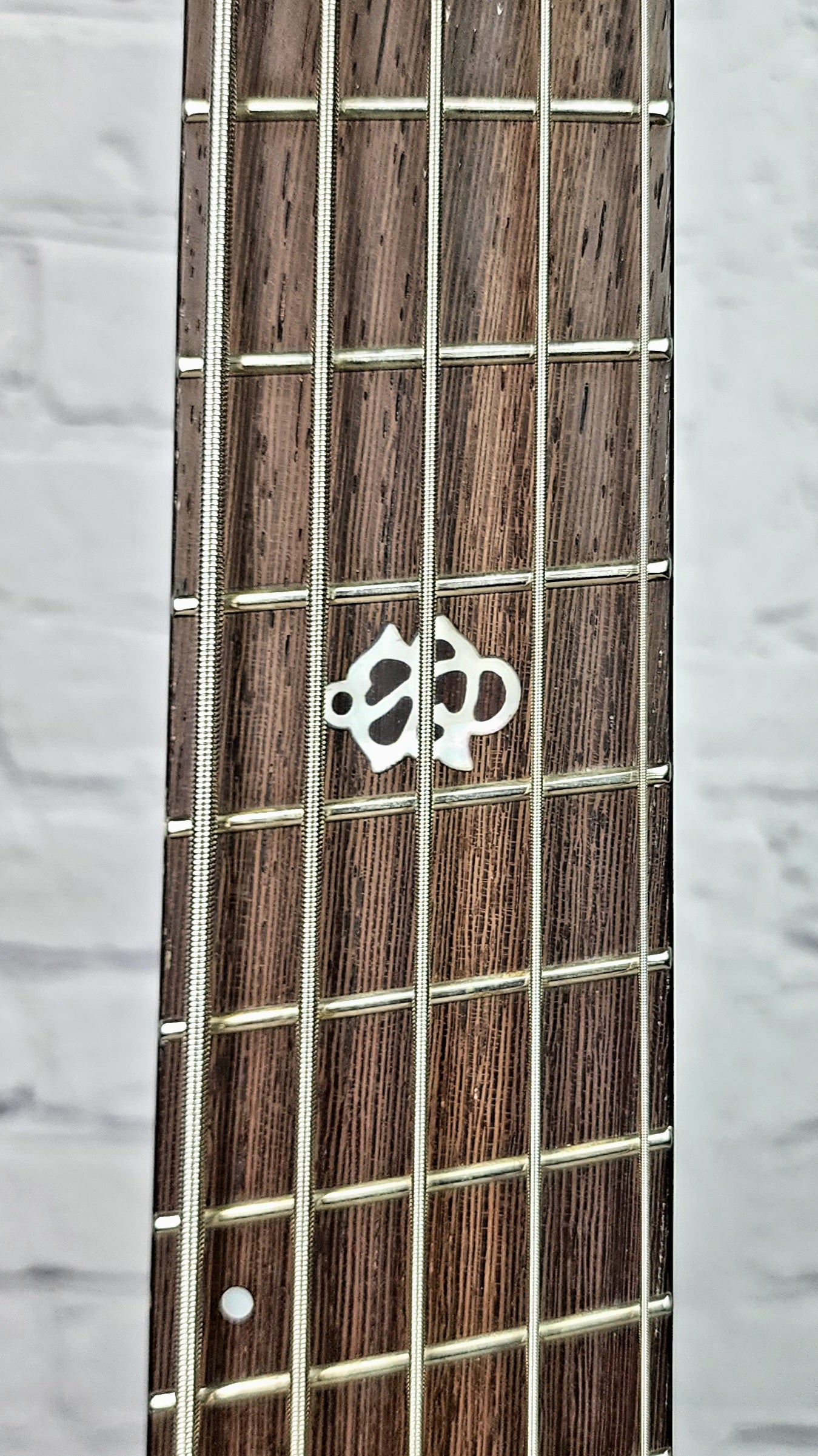 Spector NS Dimension 5 String Multiscale Bass Super Faded Black Gloss