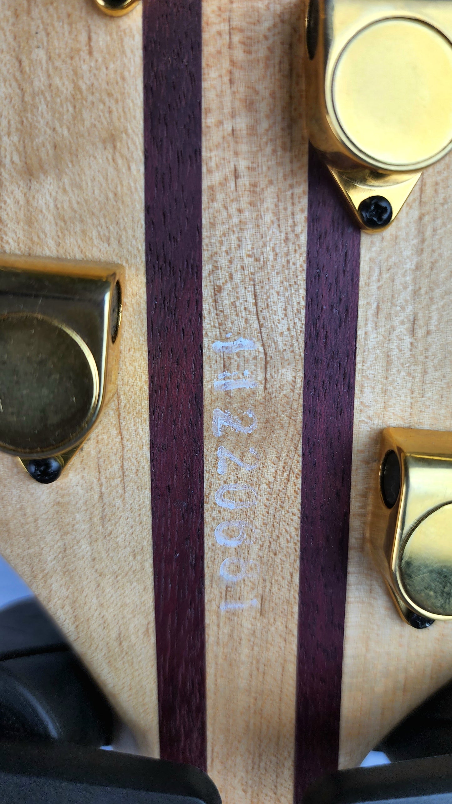 USED Peavey Cirrus 5 String Bass USA Neck Through Peacock Blue