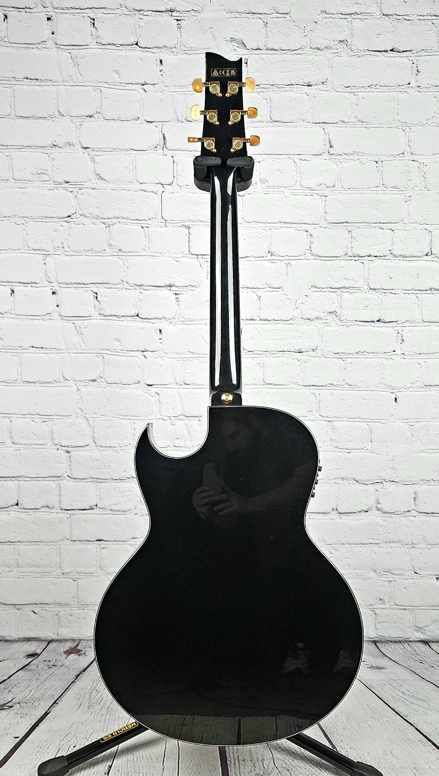 Ibanez EP5BP Euphoria Steve Vai 6 String Acoustic Guitar Black Pearl Gloss
