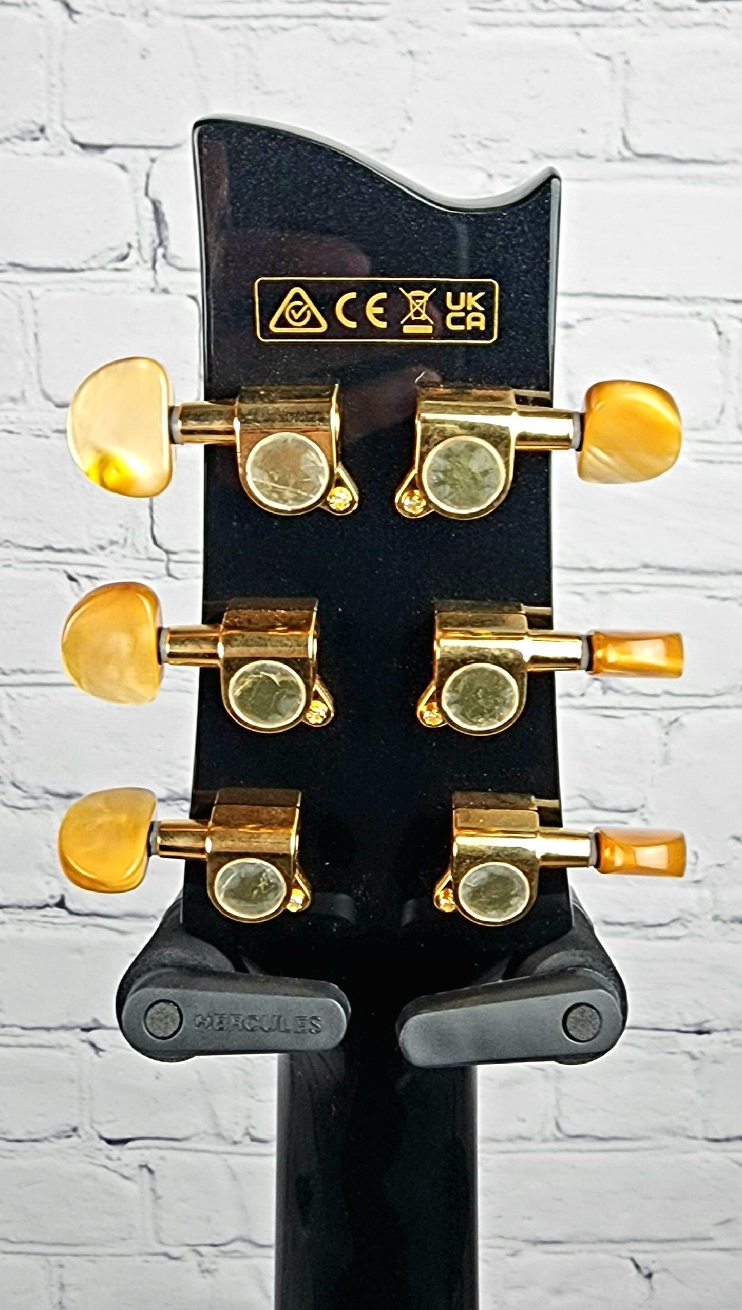 Ibanez EP5BP Euphoria Steve Vai 6 String Acoustic Guitar Black Pearl Gloss