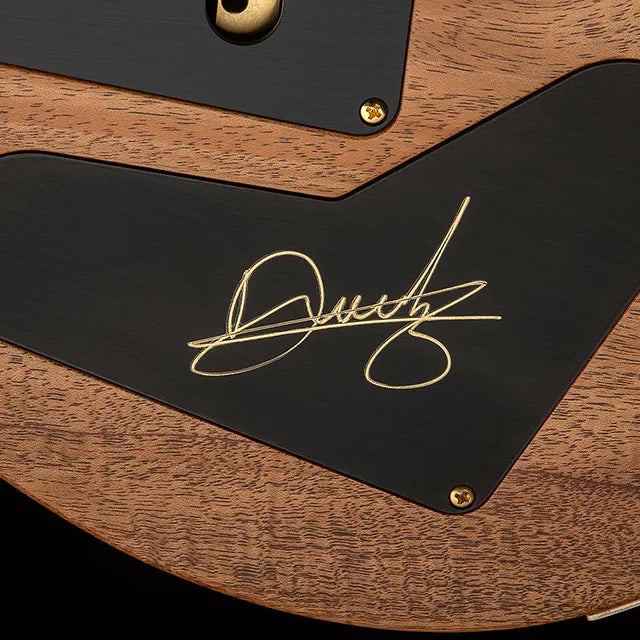 Paul Reed Smith PRS Guitars Dany Villarreal Custom 24 Astryx Limited Edition (PREORDER #2)