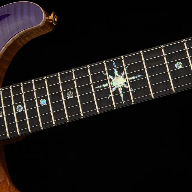 Paul Reed Smith PRS Guitars Dany Villarreal Custom 24 Astryx Limited Edition (PREORDER #2)