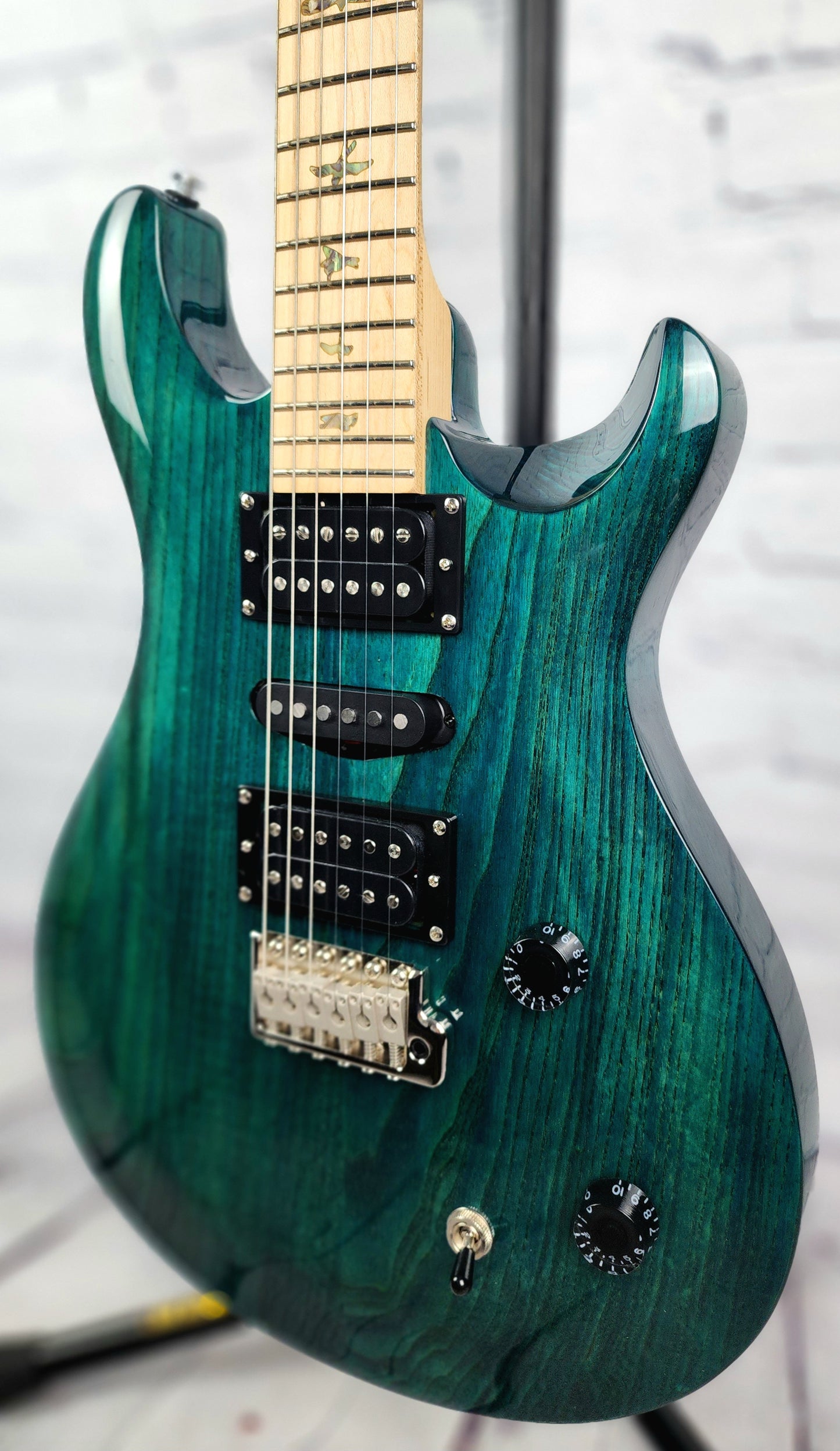 Paul Reed Smith PRS SE Swamp Ash Special Electric Guitar Iri Blue