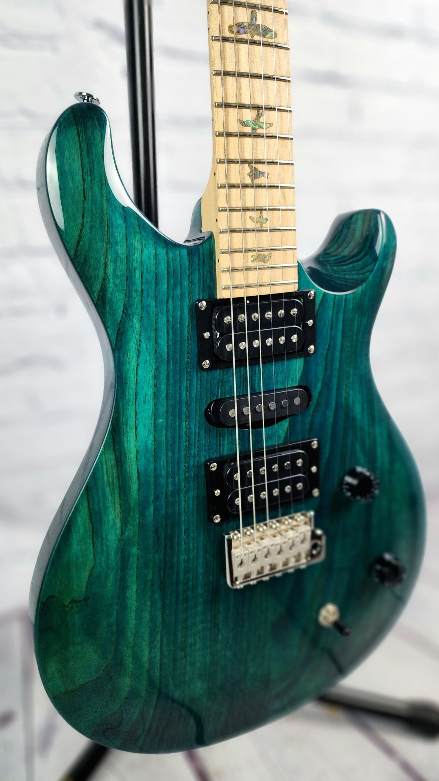 Paul Reed Smith PRS SE Swamp Ash Special Electric Guitar Iri Blue