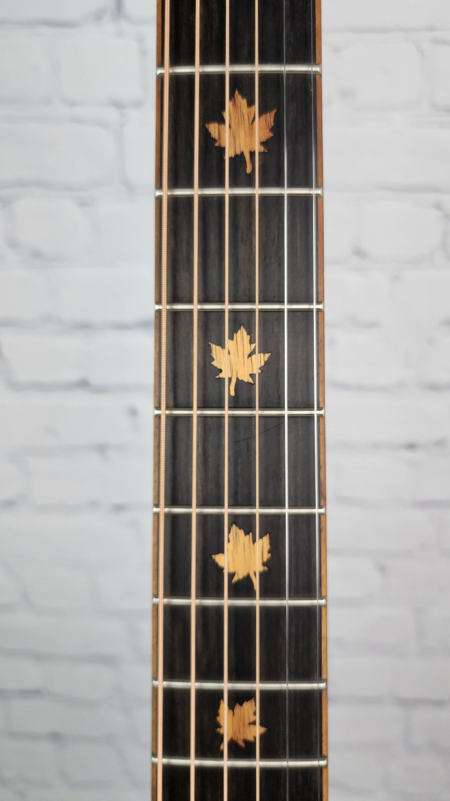 Larrivee D-03 Maple Leaf Limited Edition 6 String Acoustic Guitar Satin Natural