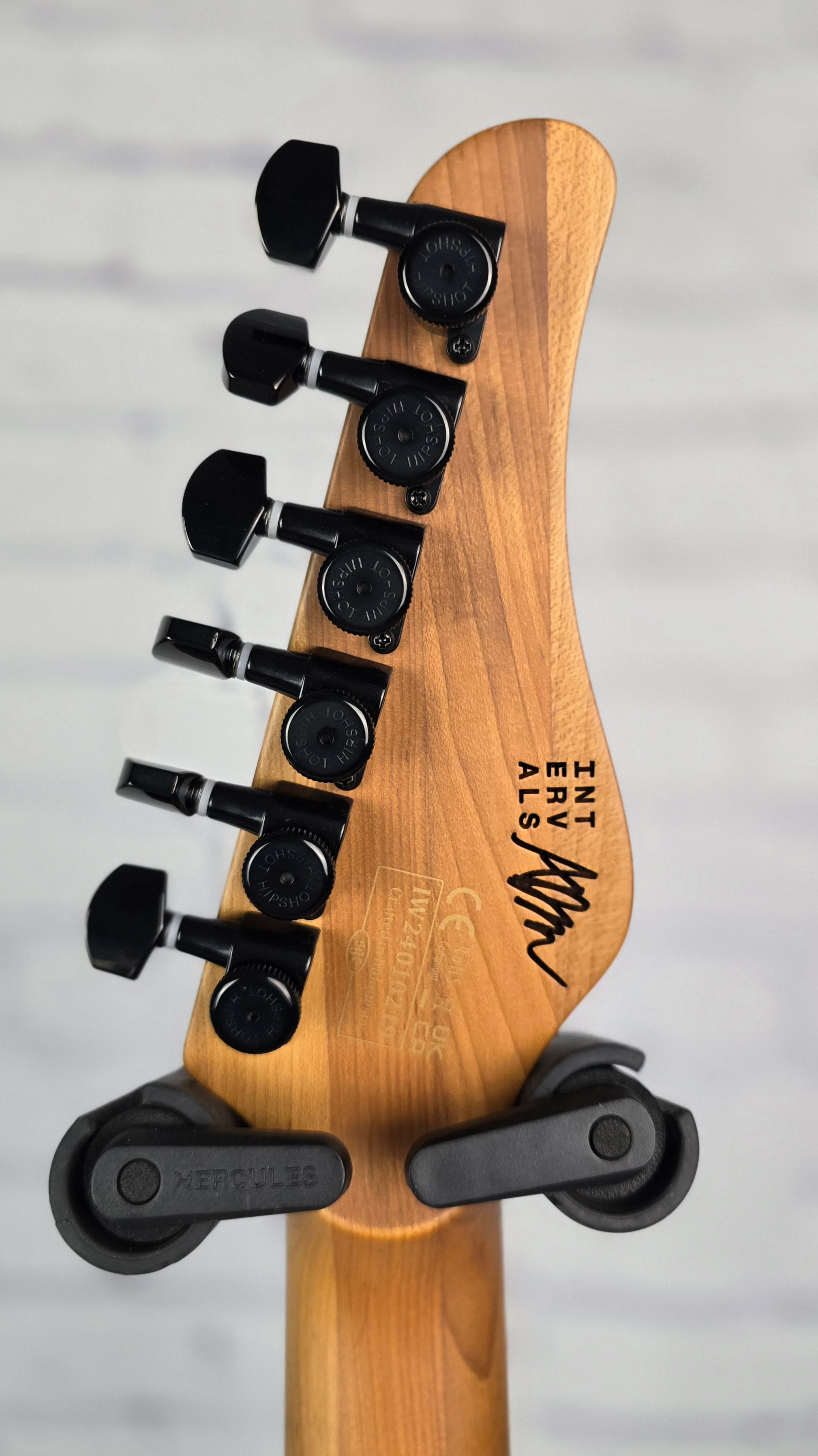 Schecter Aaron Marshall AM-6 Tremolo Electric Guitar Satin Royal