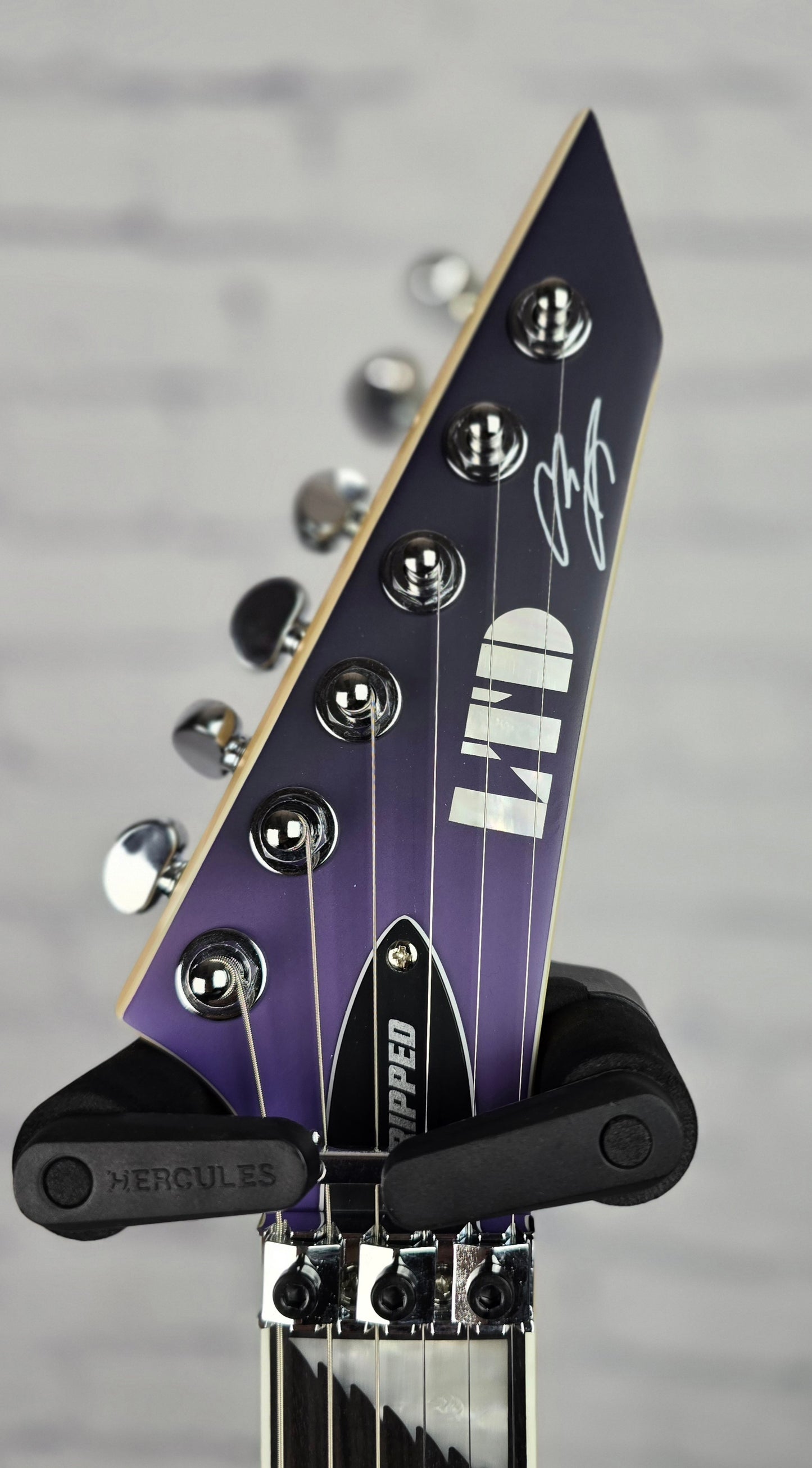 ESP LTD Alexi Ripped 6 String Electric Guitar Purple Satin Fade with Ripped Pinstripes