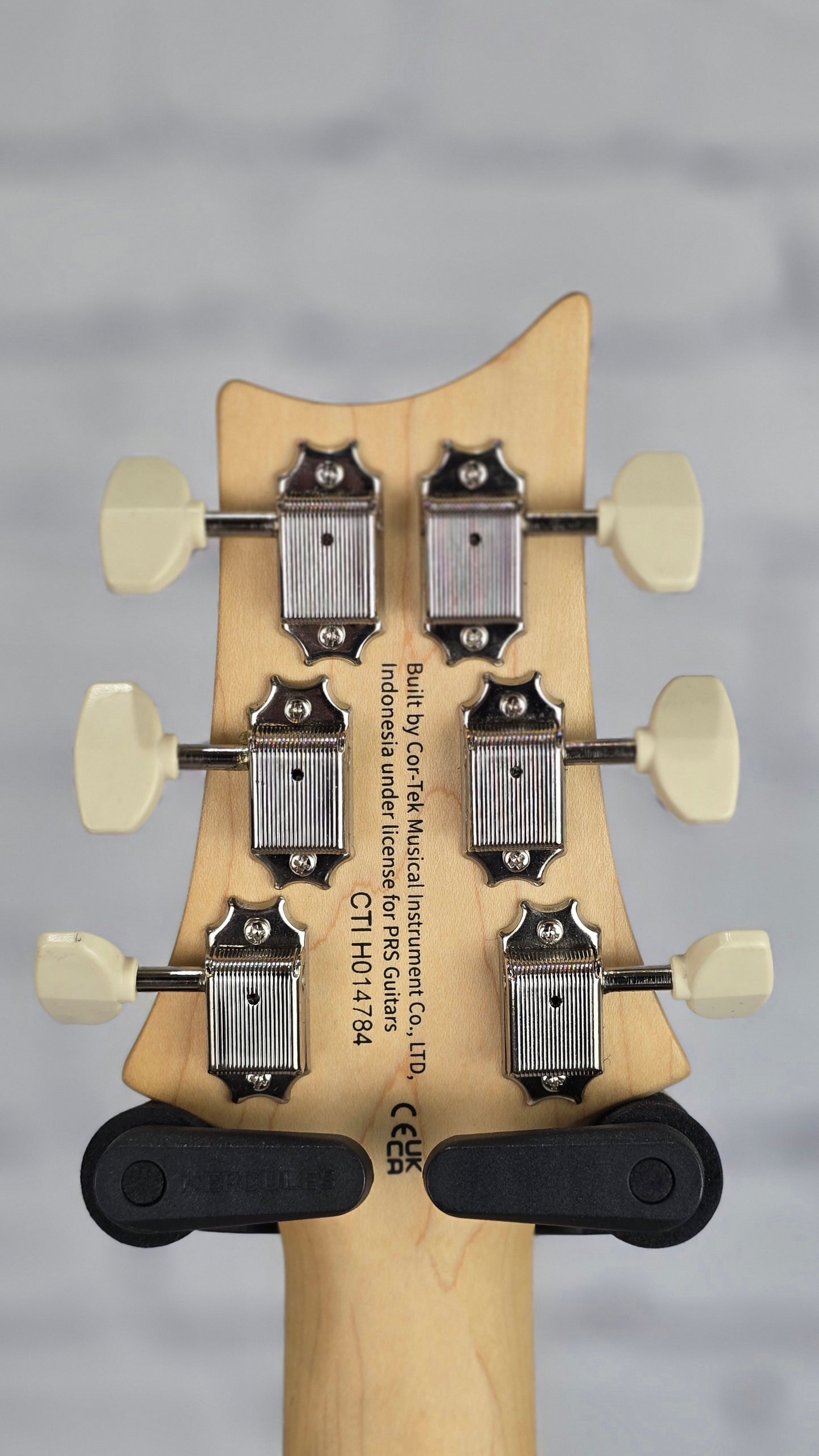 Paul Reed Smith PRS Guitars SE NF53 6 String Electric Guitar White Dog Hair