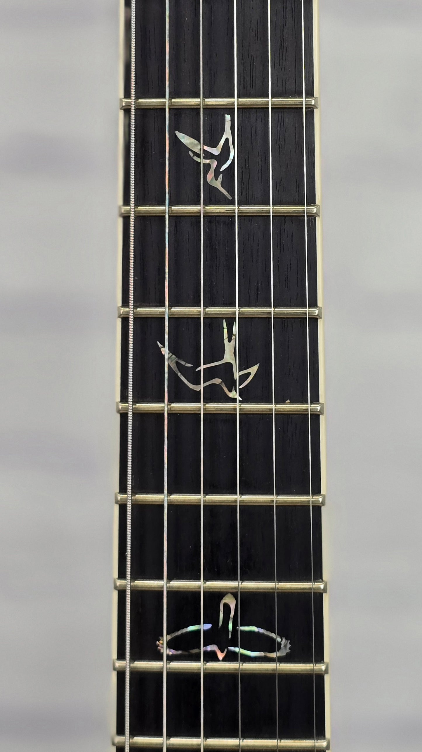 Paul Reed Smith PRS Guitars Mark Holcomb Custom 24 Core 6 String Electric Guitar Fire Smokeburst