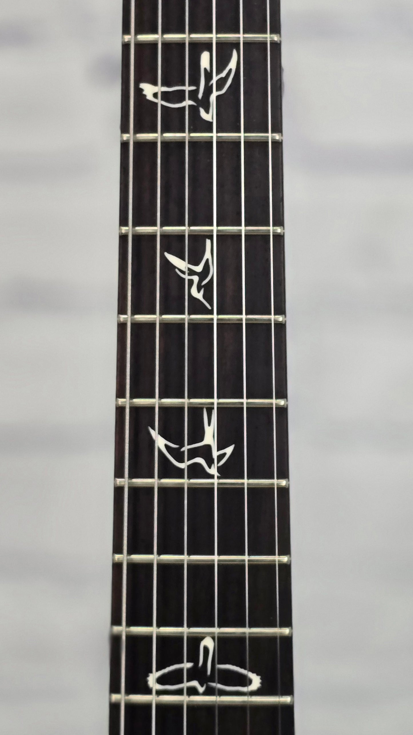Paul Reed Smith PRS Guitars CE-22 LTD Bolt-On Electric Guitar Faded Grey Black