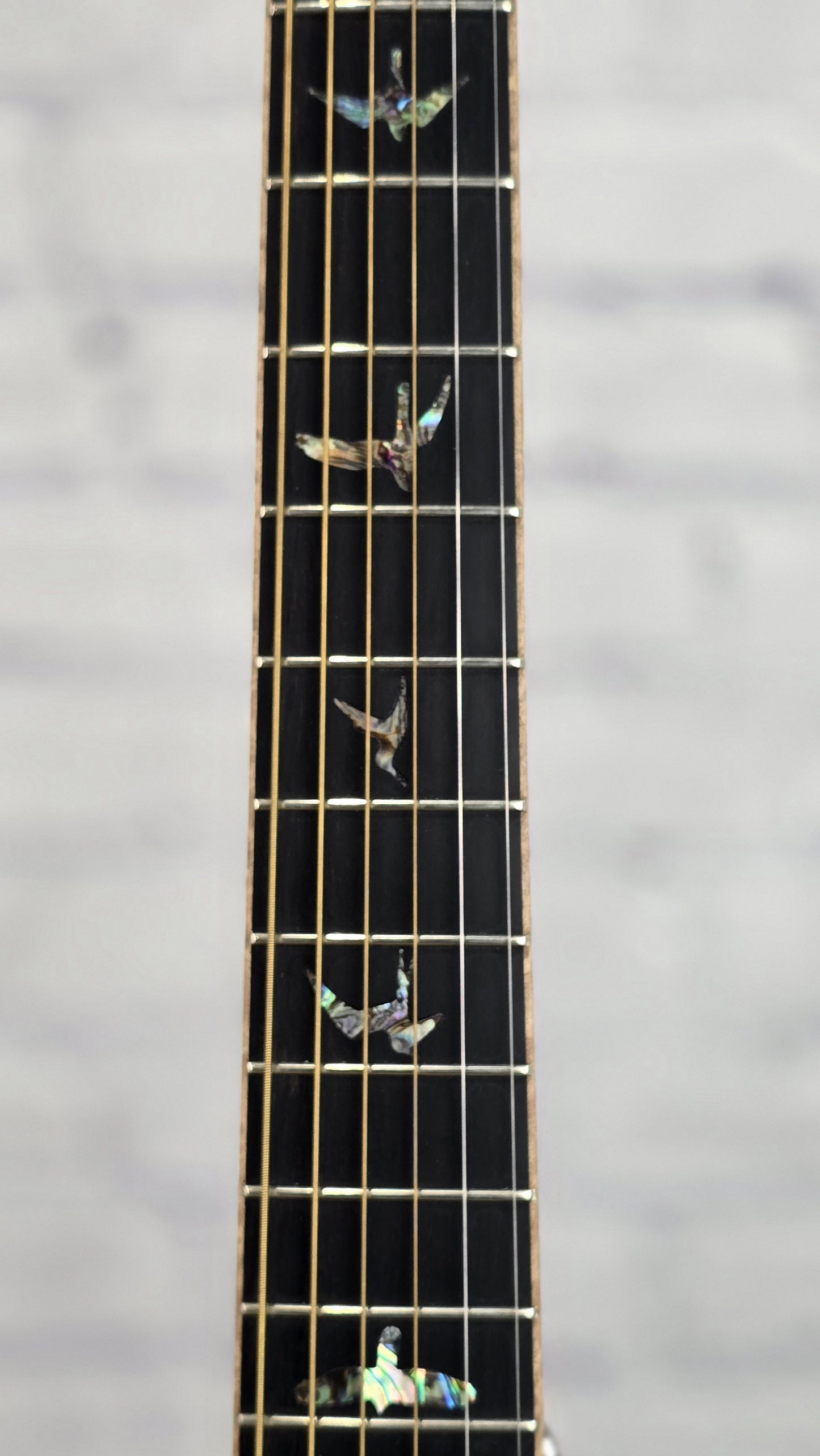 USED Paul Reed Smith PRS Guitars SE Angelus A60E 6 String Acoustic Guitar Ziricote